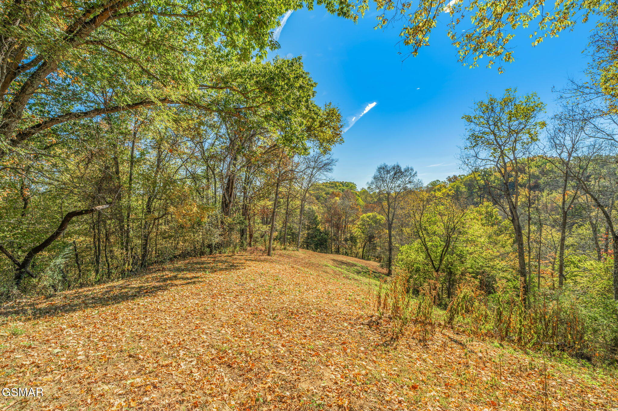 858 N Shiloh Road Seymour TN 37865