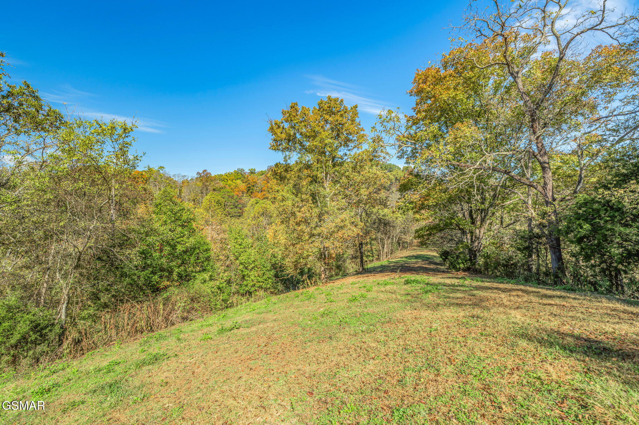 858 N Shiloh Road Seymour TN 37865
