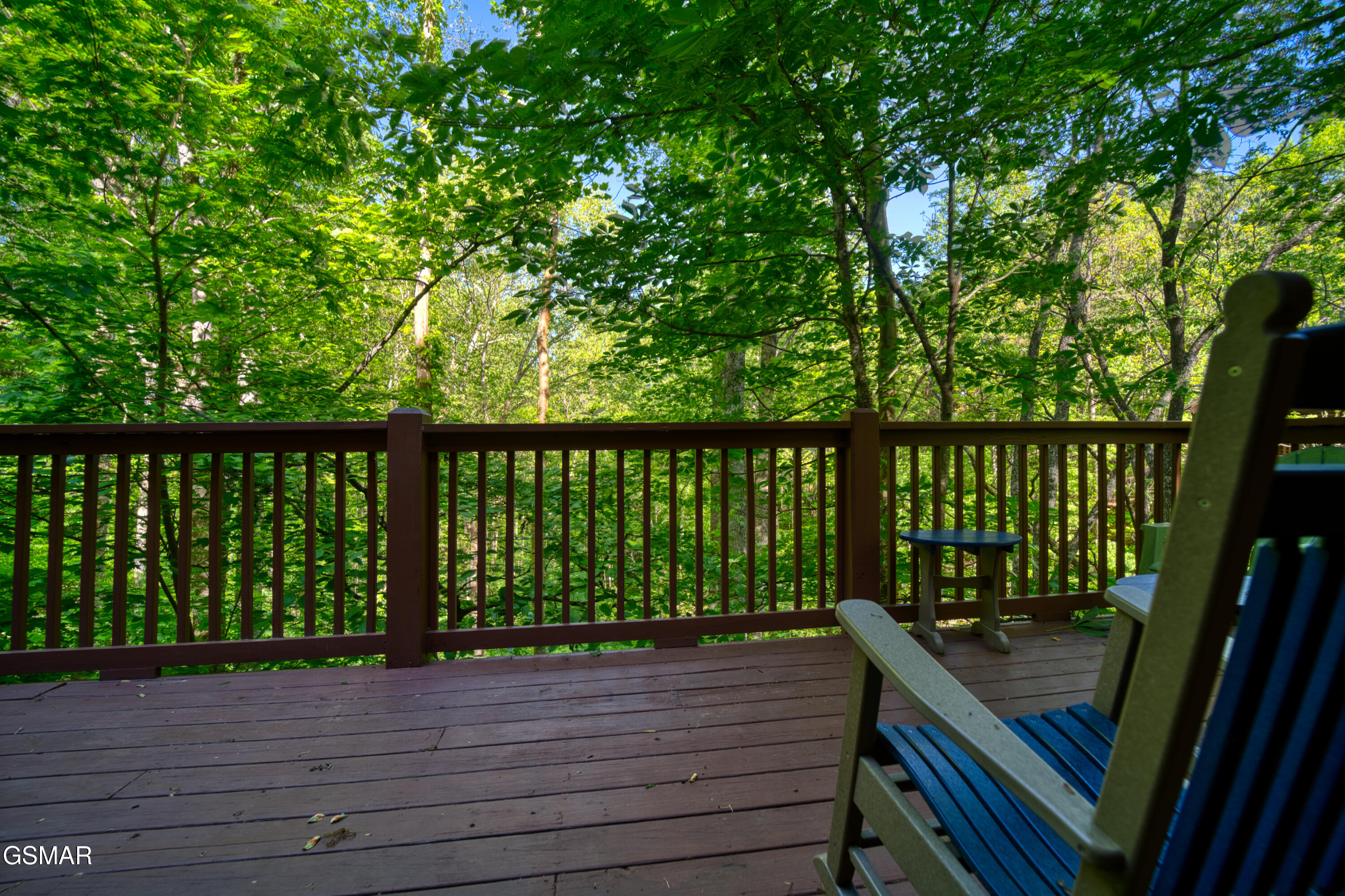 1705 Jacks Pass Sevierville TN 37876