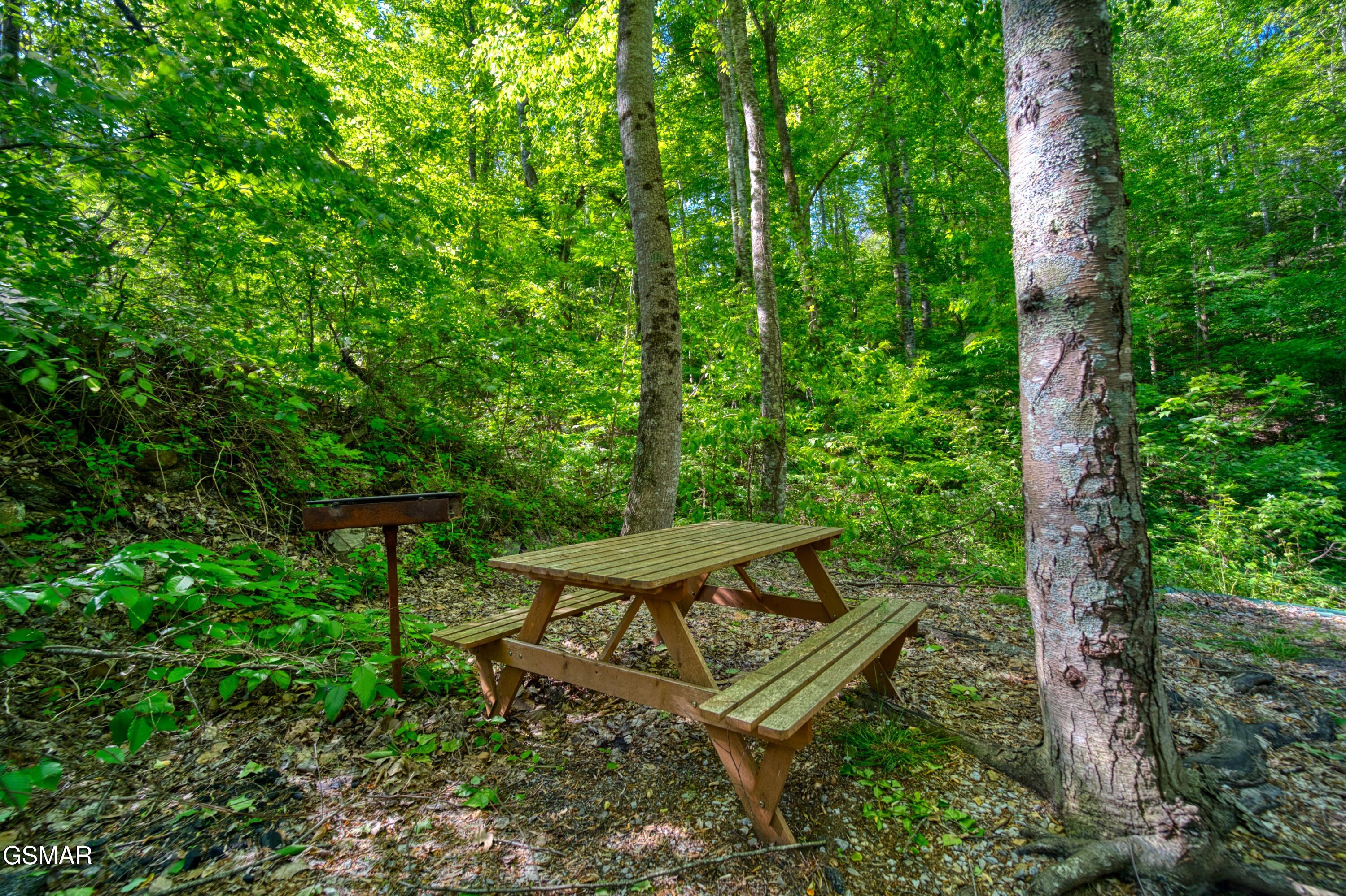 1705 Jacks Pass Sevierville TN 37876