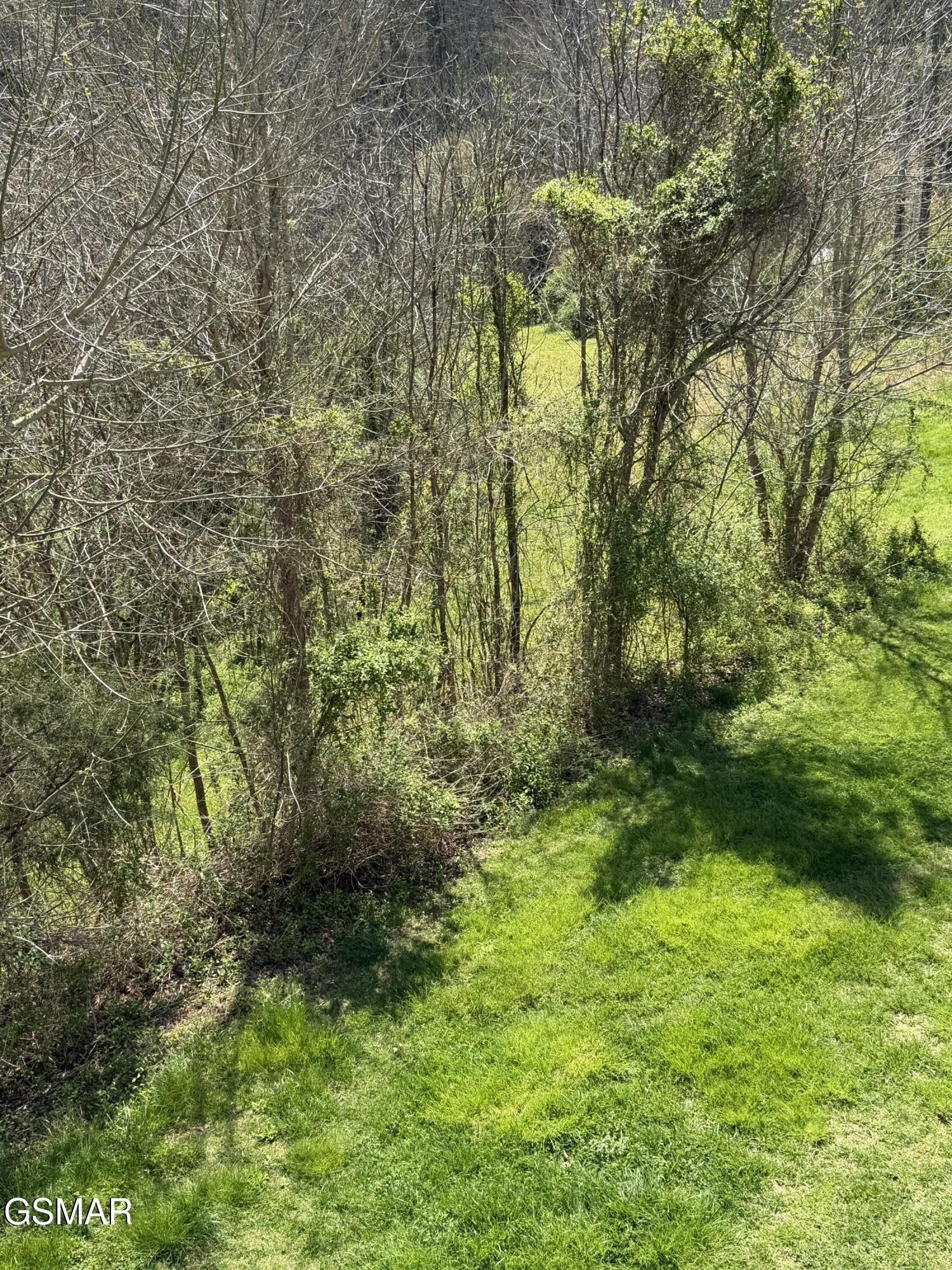 1455 Chapman Highway Sevierville TN 37876