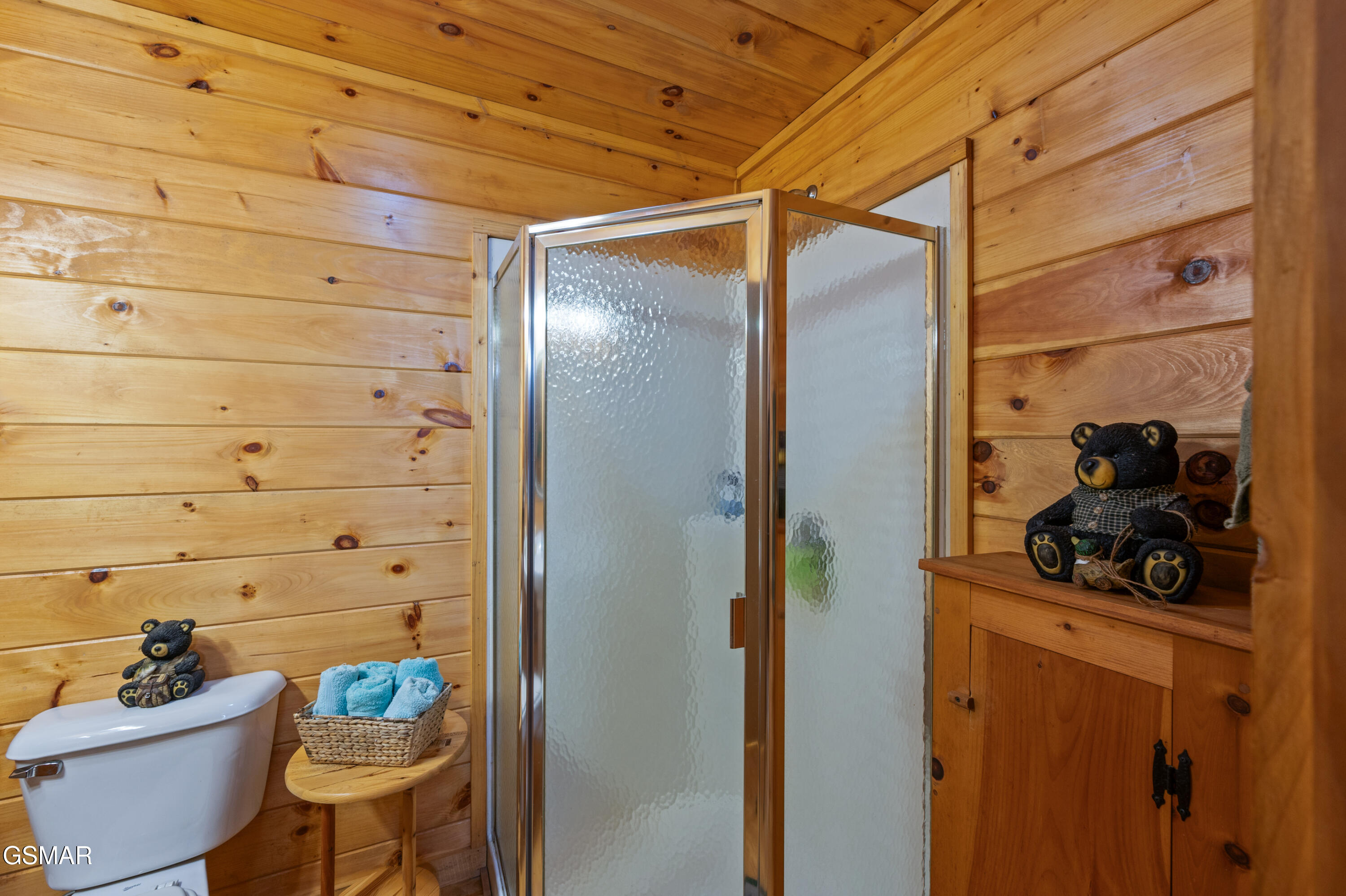 3209 Bear Country Way Sevierville TN 37876