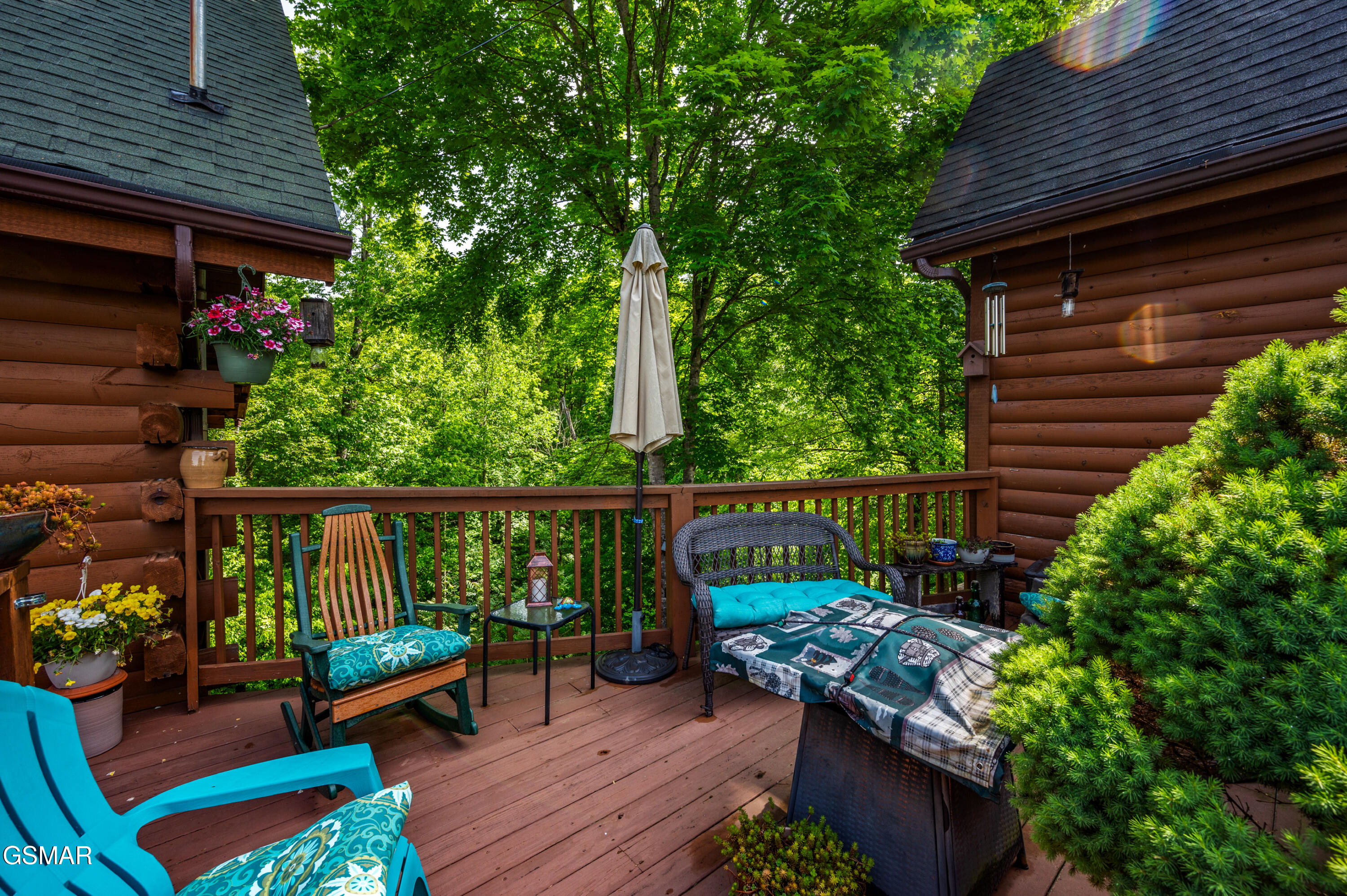 3209 Bear Country Way Sevierville TN 37876