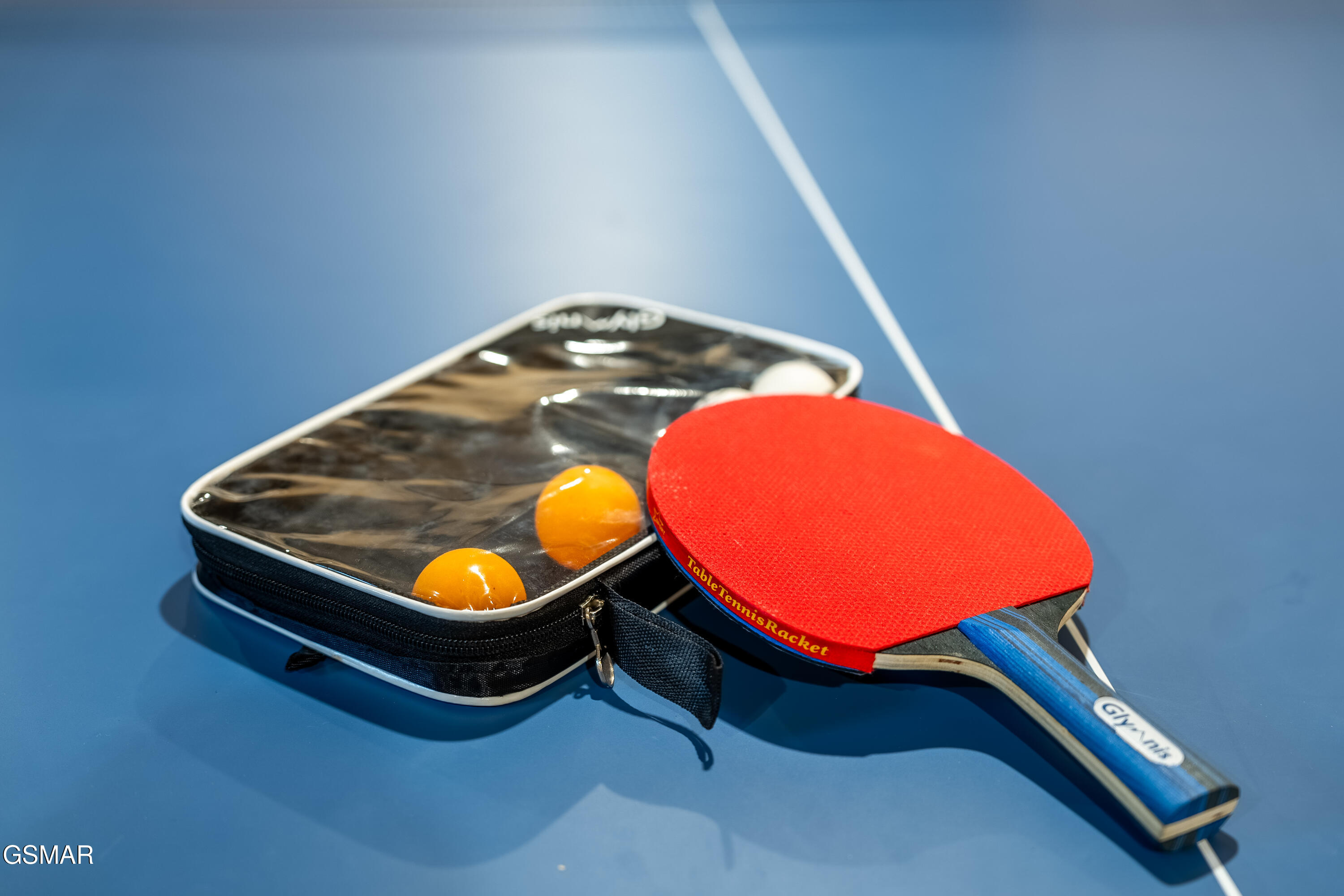 2881 Caughron Mountain Road Sevierville TN 37876