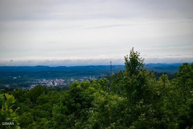 1816 N Dogwood Lane Sevierville TN 37876
