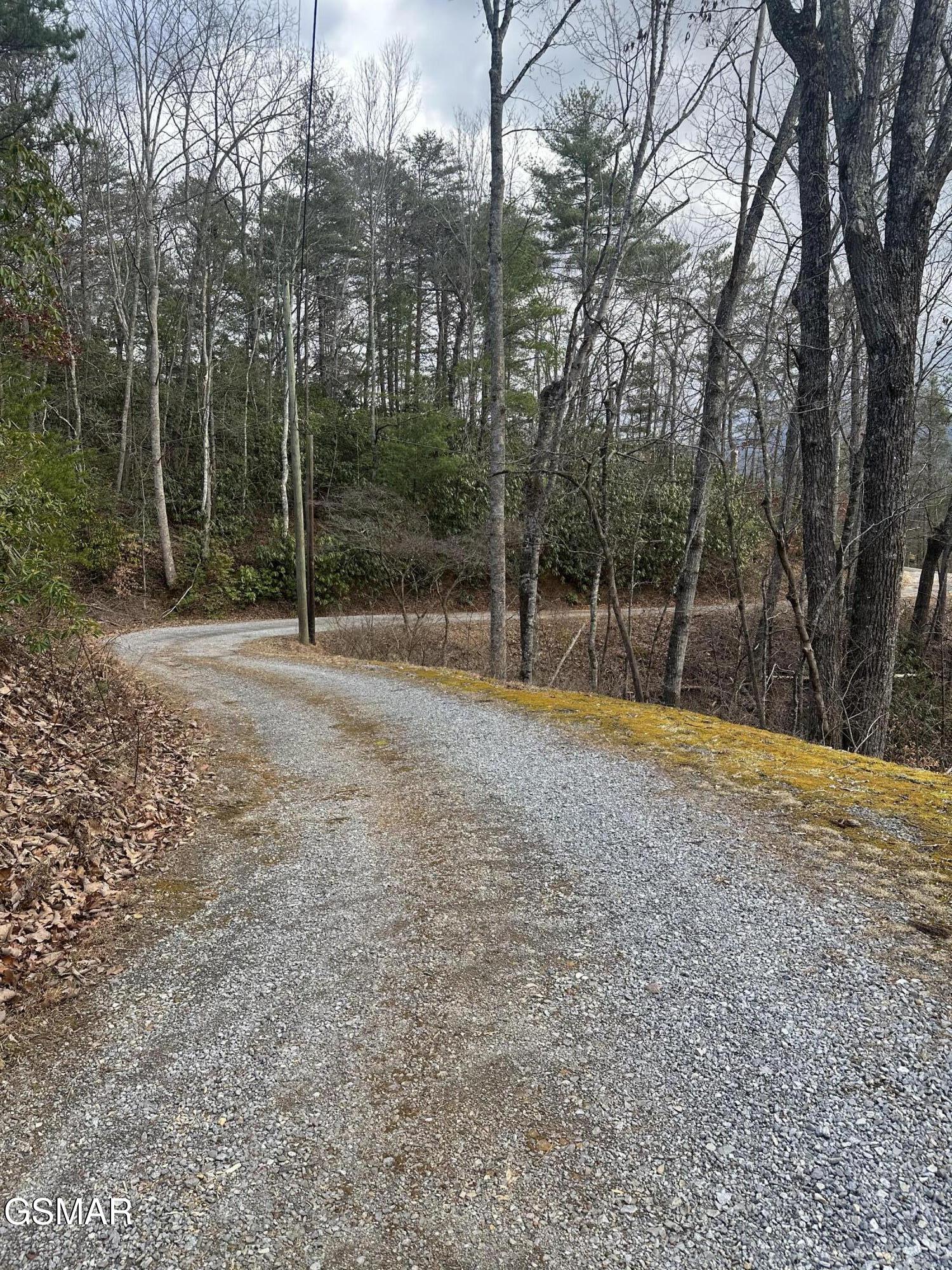 1137 Old Cartertown Road Gatlinburg TN 37738