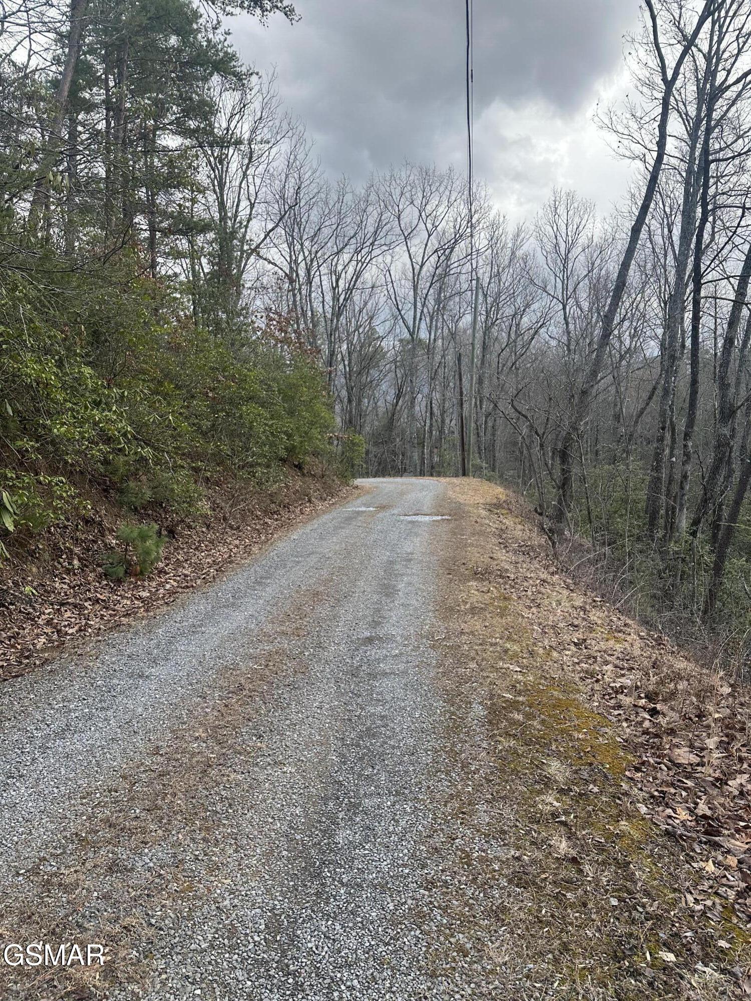 1137 Old Cartertown Road Gatlinburg TN 37738