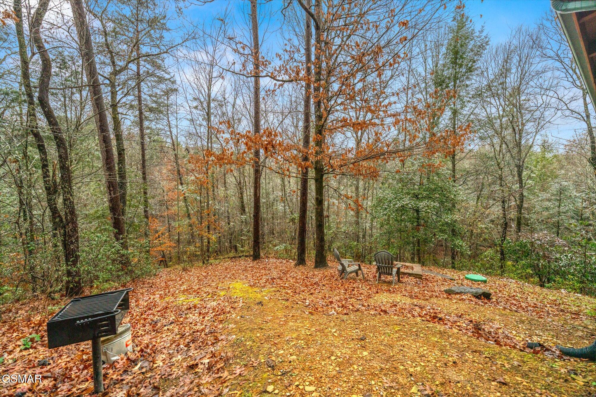 1250 Secona Way Tn Way Sevierville TN 37876