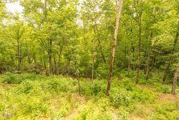 113 Little Round Top Lane Sevierville TN 37876