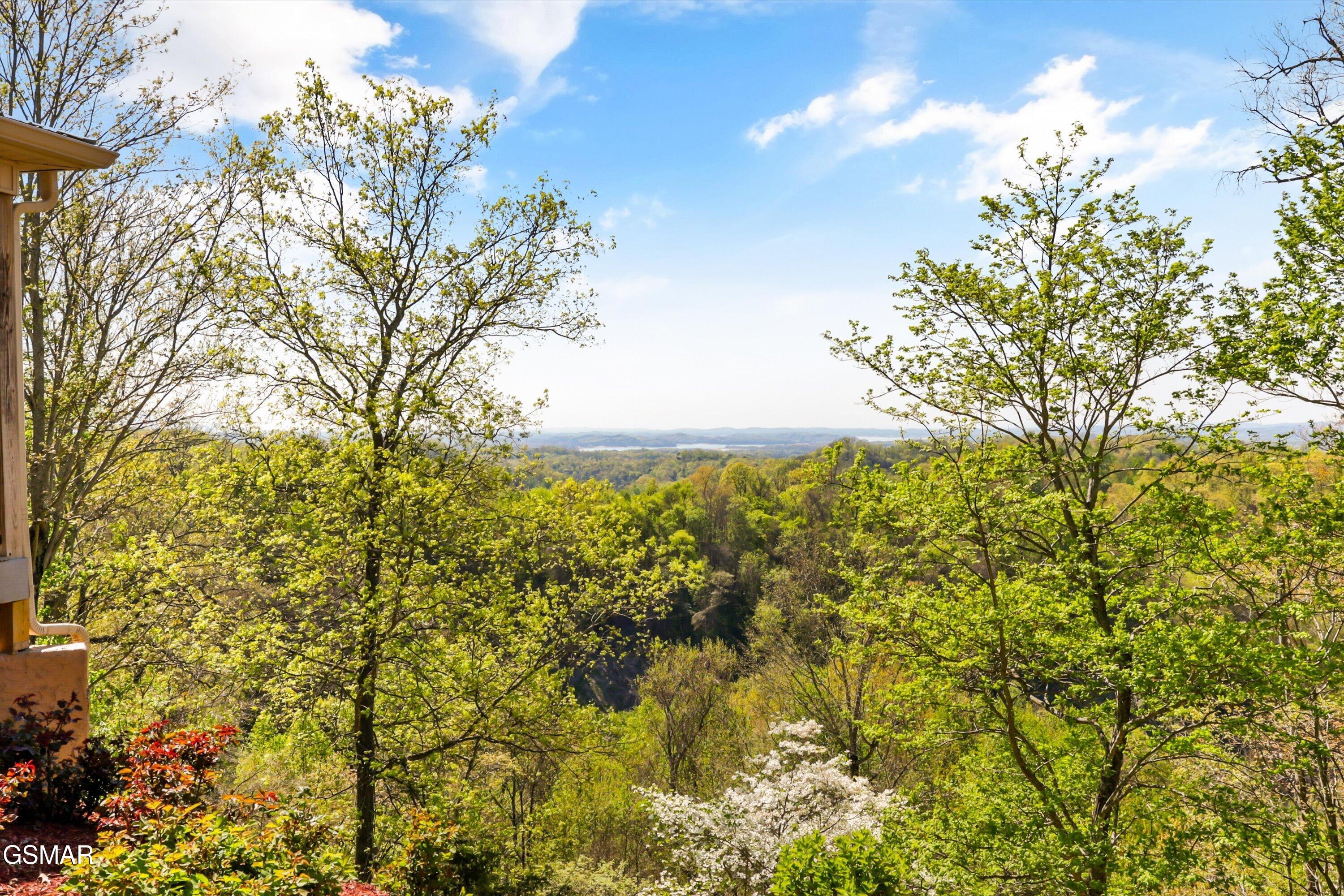 2278 Lower Rinehart Road Dandridge TN 37725
