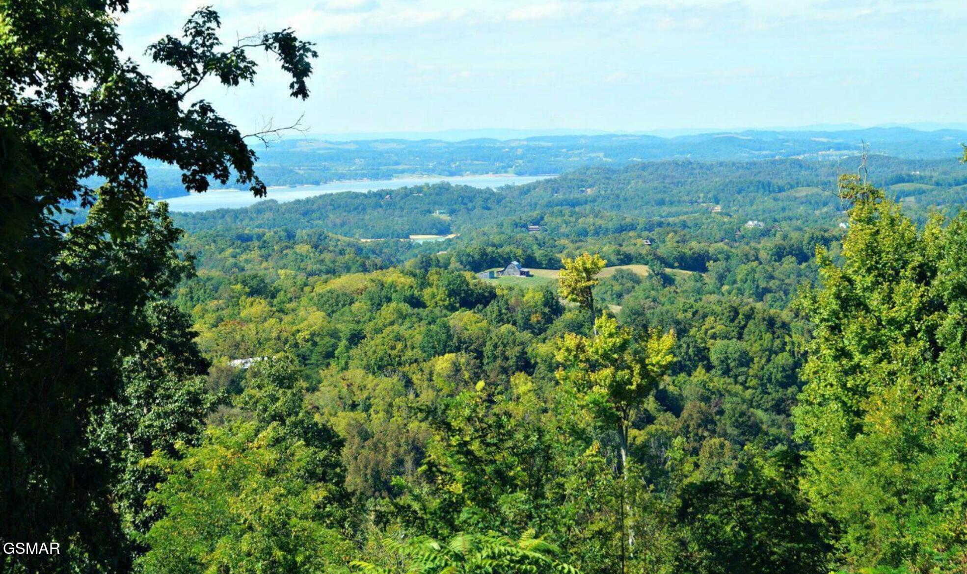 2278 Lower Rinehart Road Dandridge TN 37725