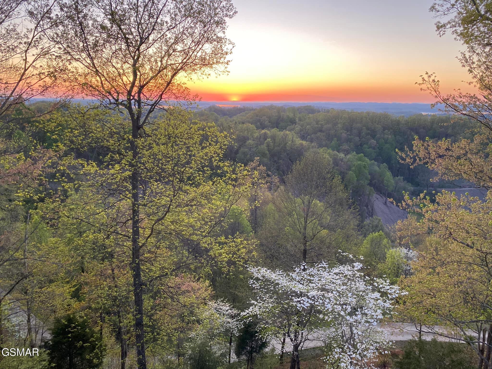 2278 Lower Rinehart Road Dandridge TN 37725