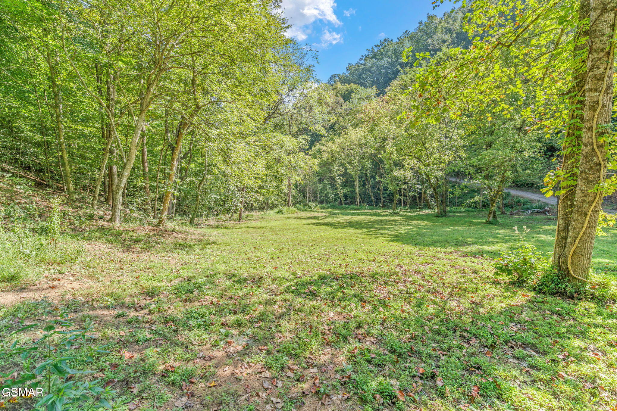 1035 Porterfield Gap Road Seymour TN 37865