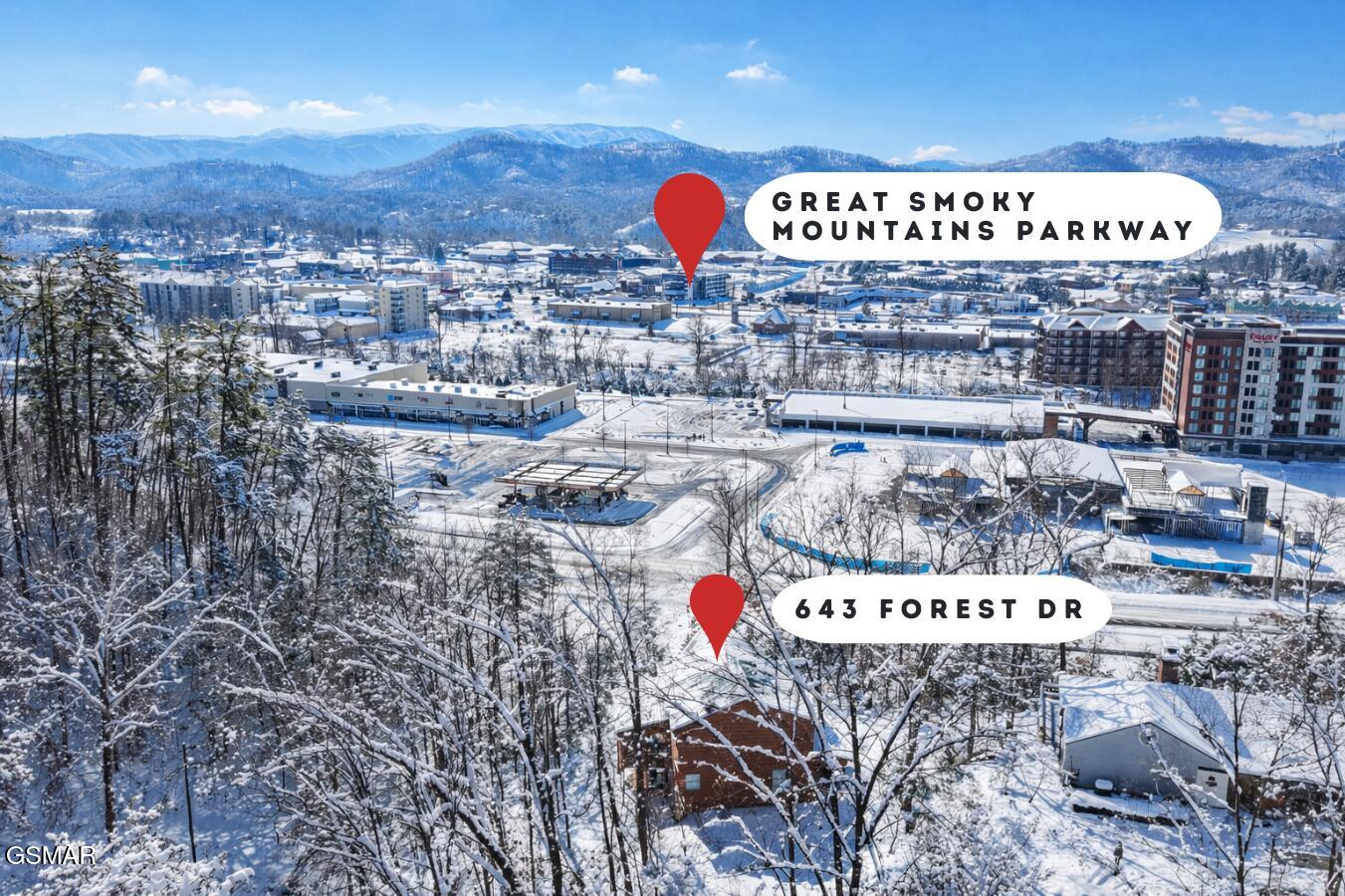 643 Forest Drive Pigeon Forge TN 37863