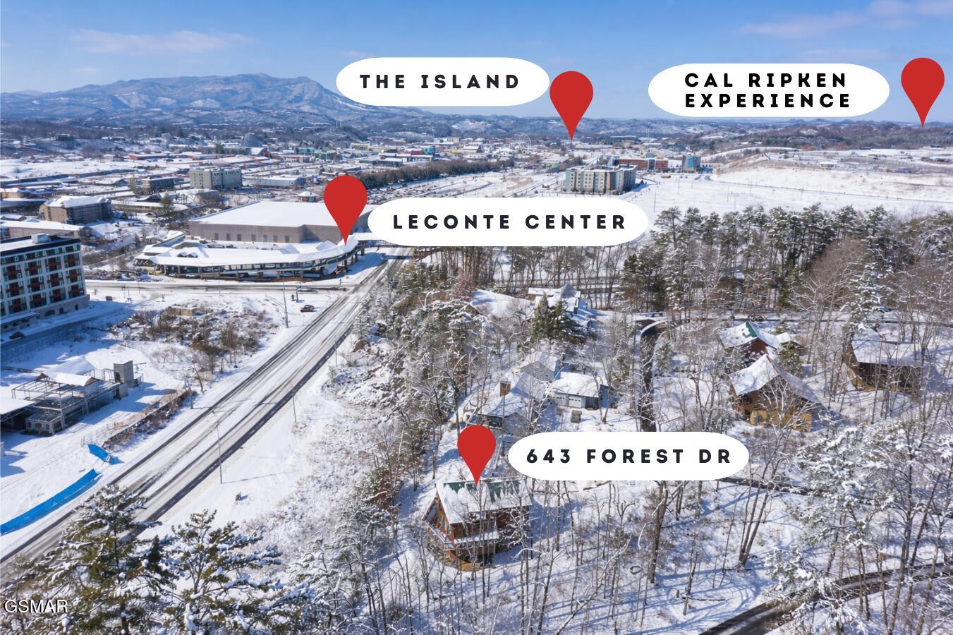 643 Forest Drive Pigeon Forge TN 37863