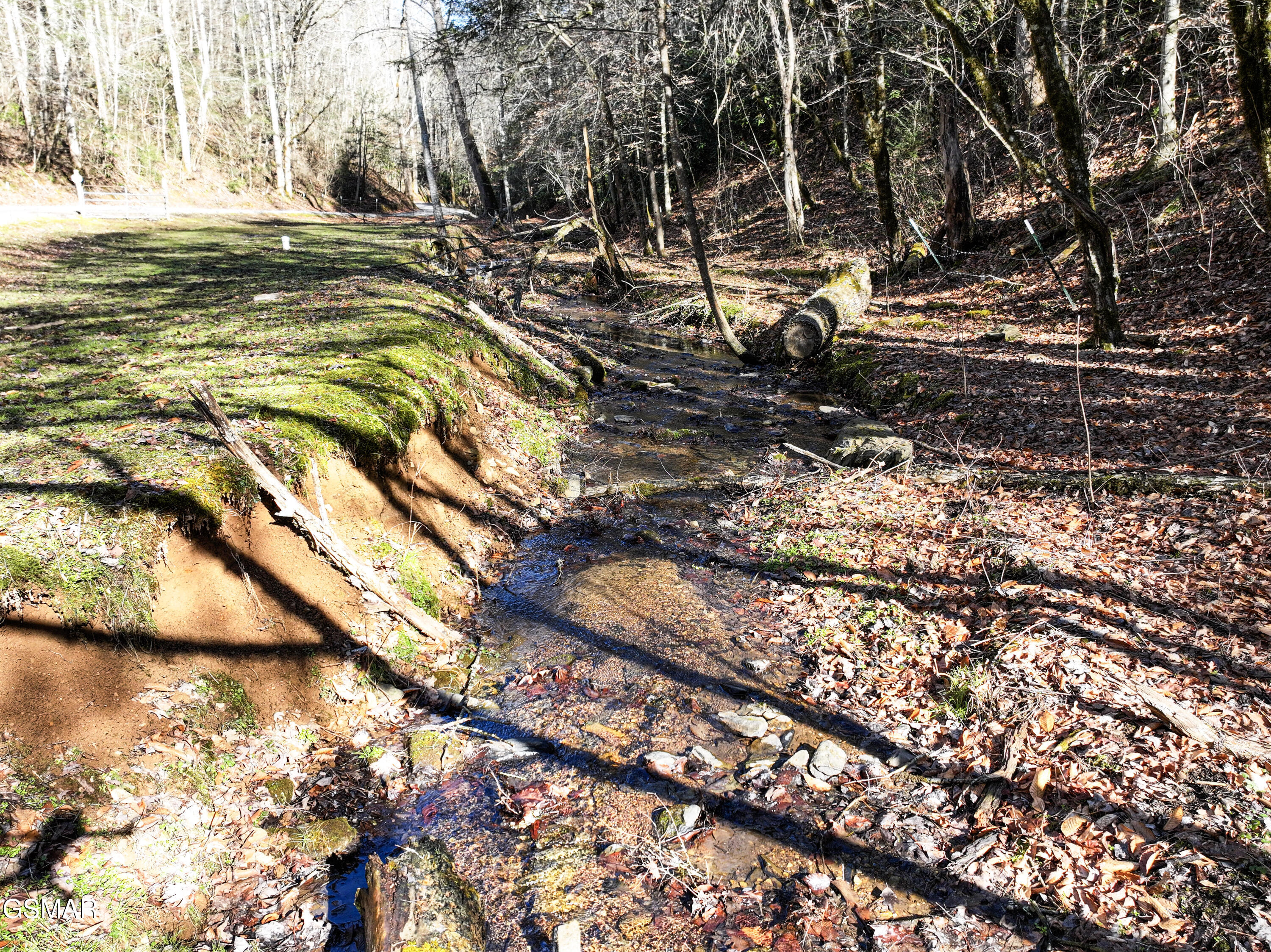 4876 Pearl Valley Road Sevierville TN 37876