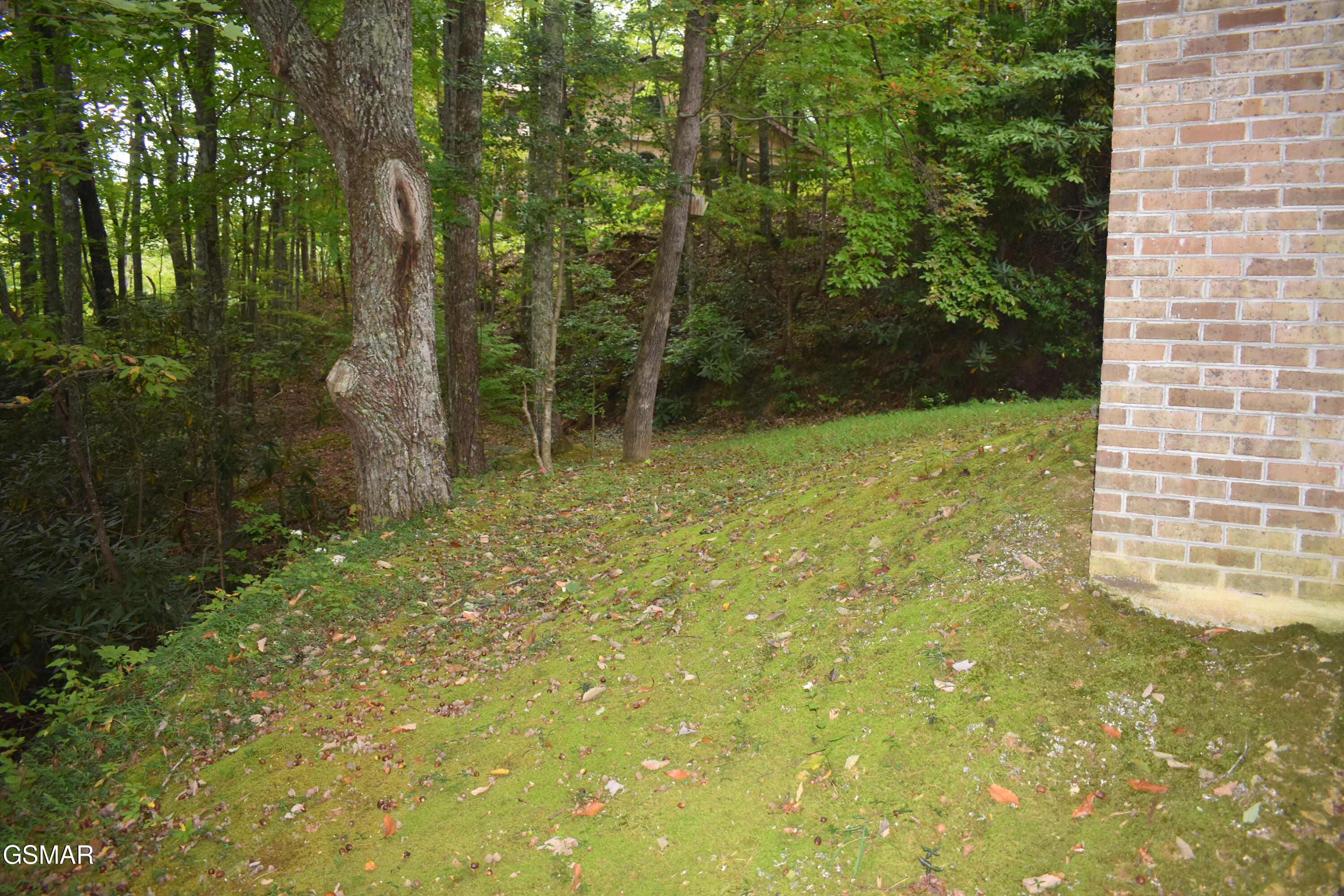 521 Jefferson Road Gatlinburg TN 37738