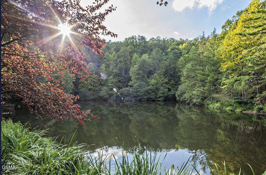 3163 Sourwood Way Sevierville TN 37862