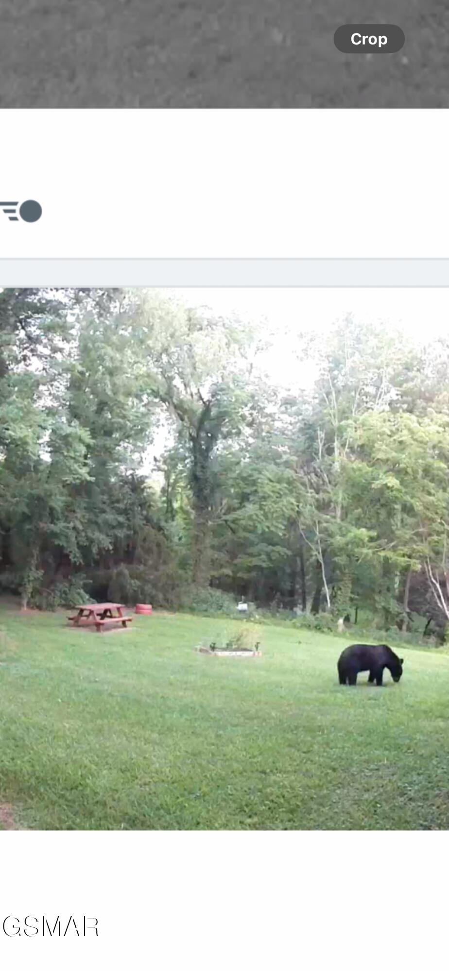 3114 Hatcher Top Road Sevierville TN 37862
