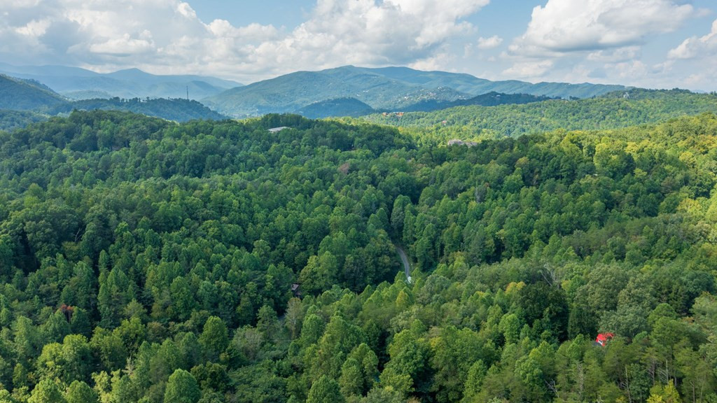 422 Autumn Lane Gatlinburg TN 37738