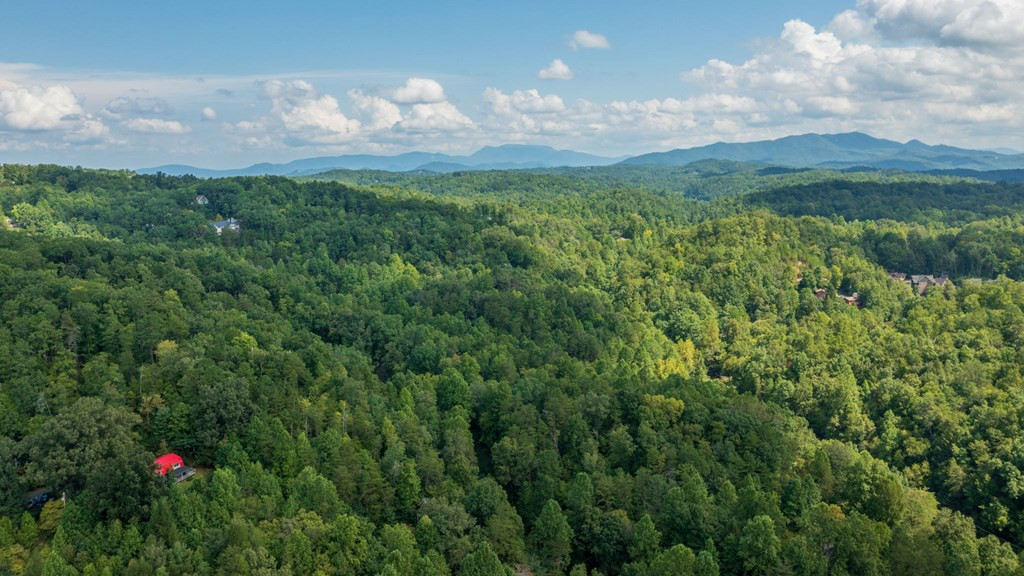 422 Autumn Lane Gatlinburg TN 37738