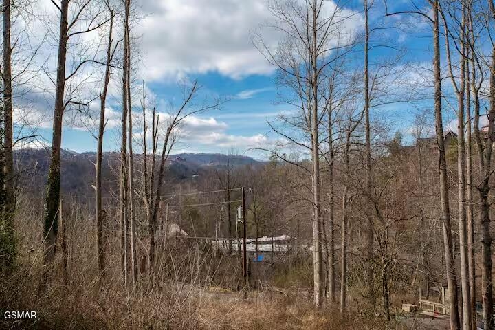 324 Lewis Clabo Road Gatlinburg TN 37738