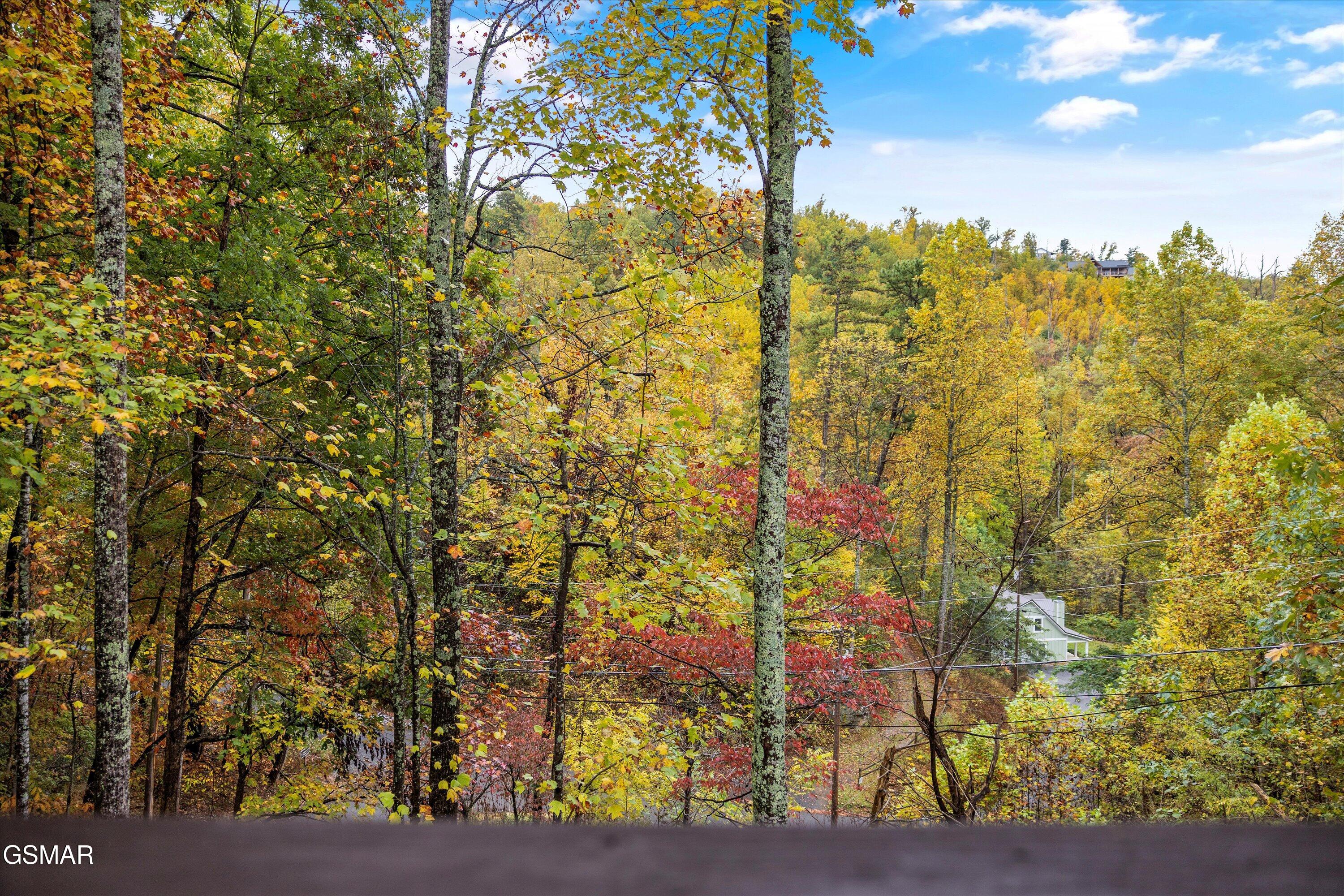 610 Timber Ridge Road Gatlinburg TN 37738