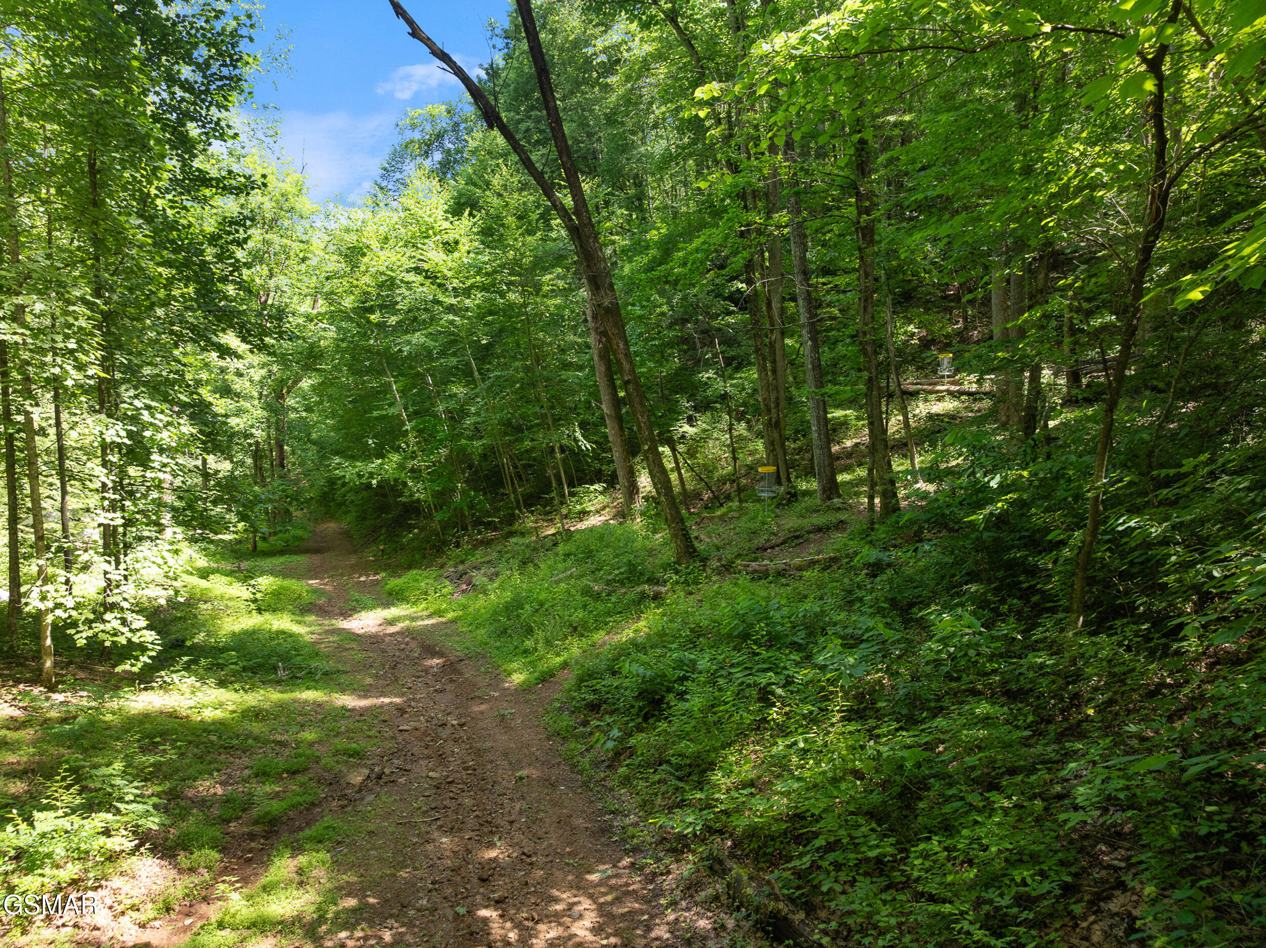 2792 Happy Hollow Road Sevierville TN 37862