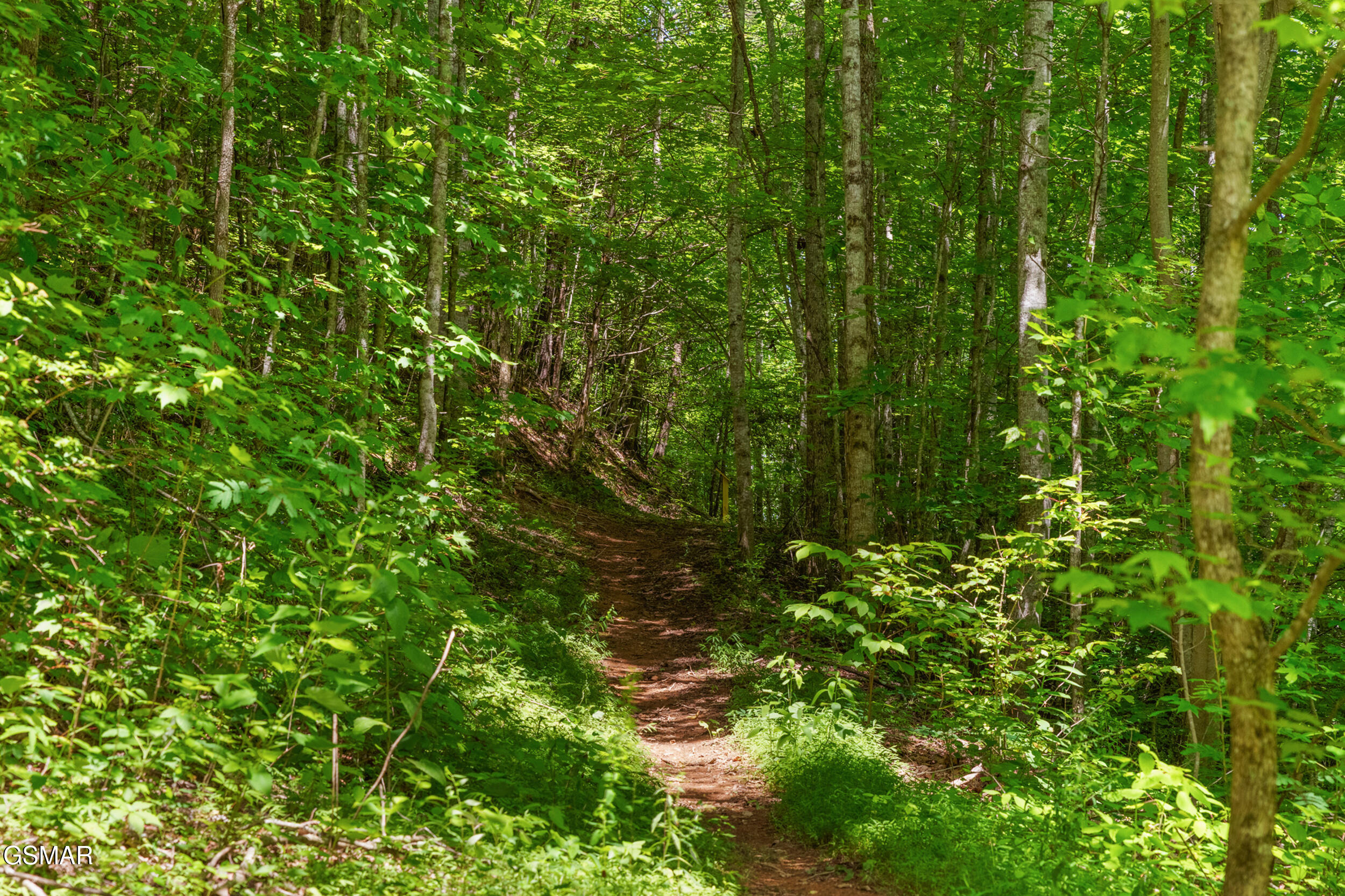 2792 Happy Hollow Road Sevierville TN 37862