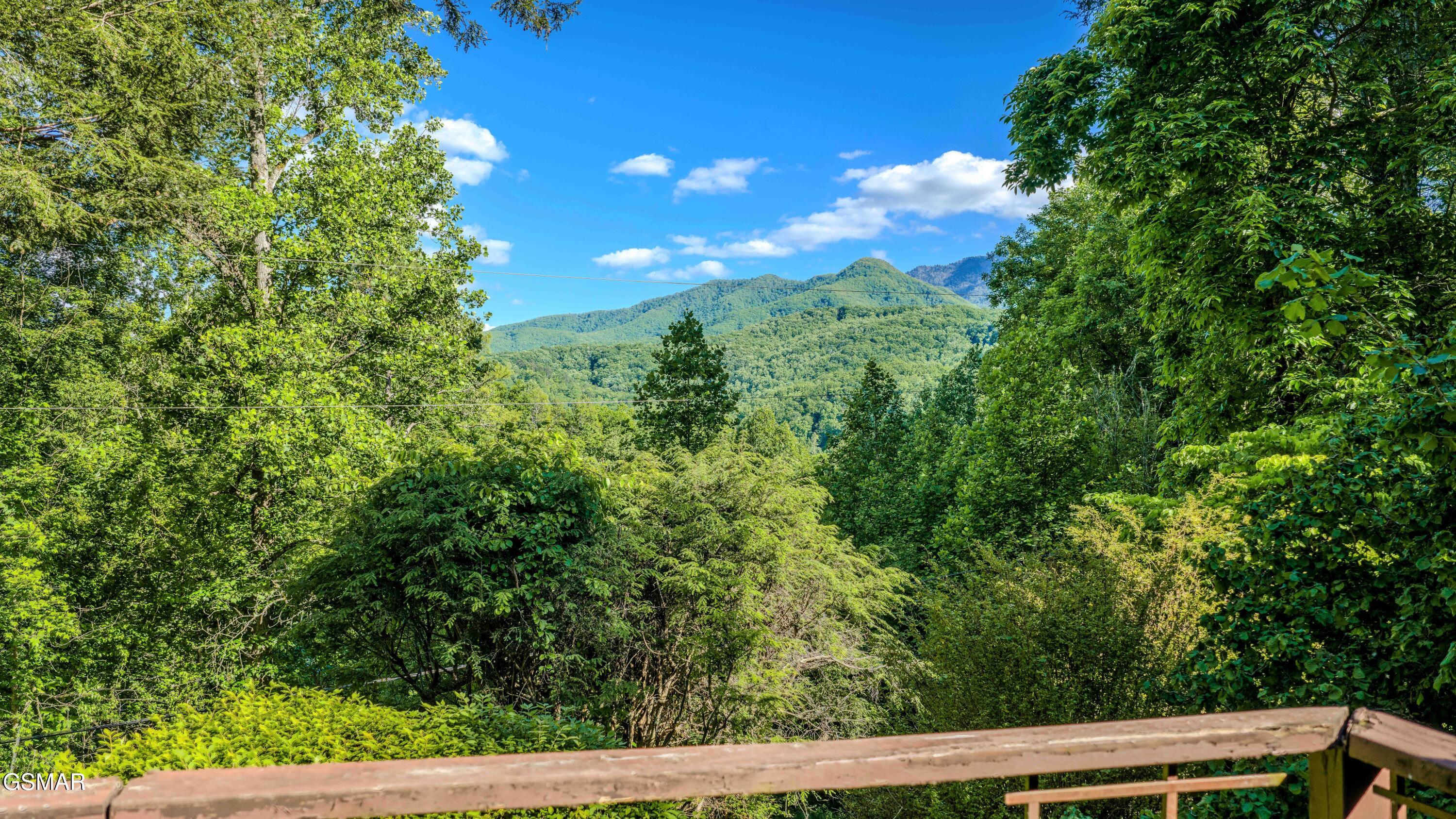 421 Gatlin Drive Gatlinburg TN 37738