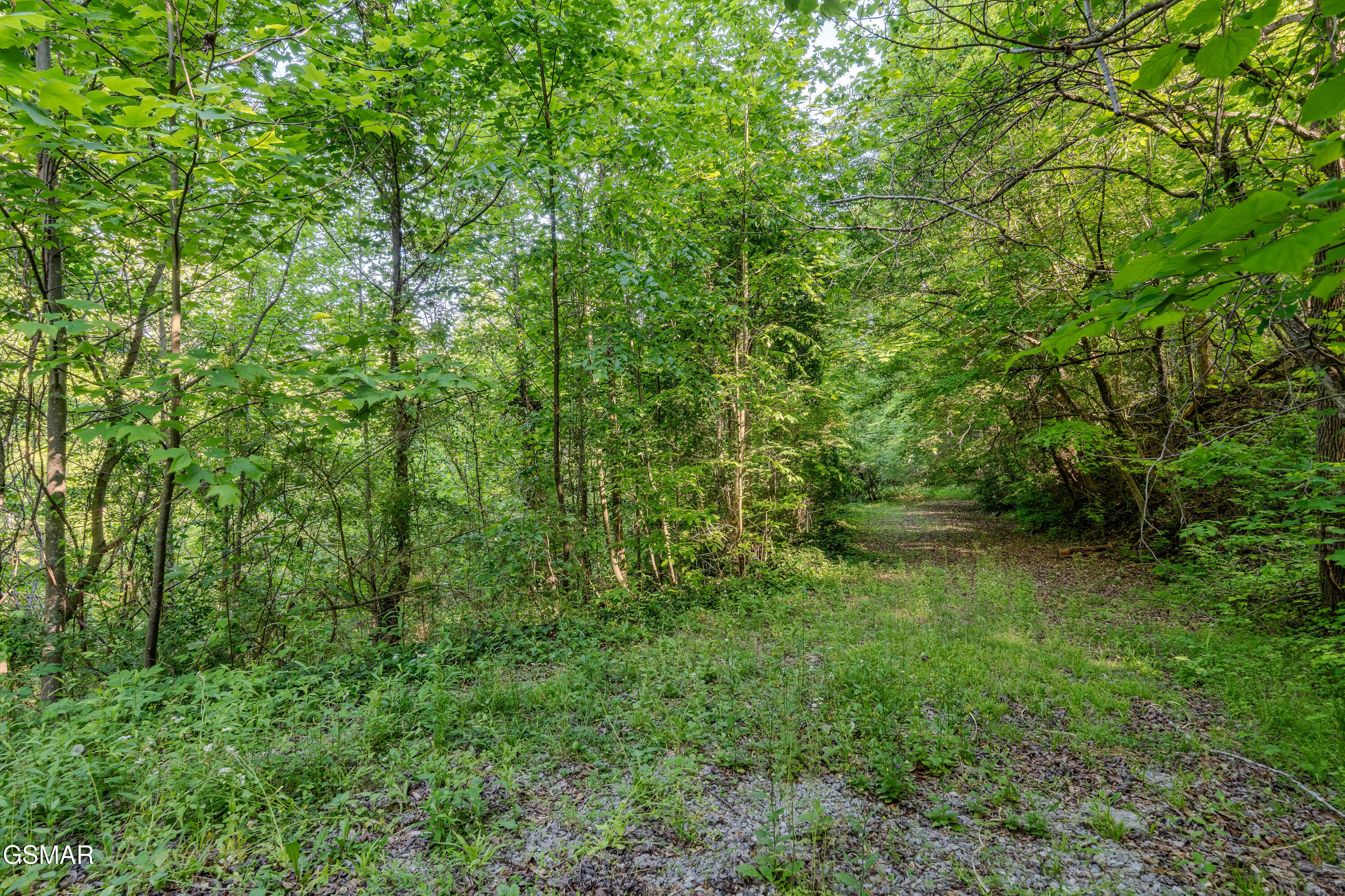 421 Gatlin Drive Gatlinburg TN 37738