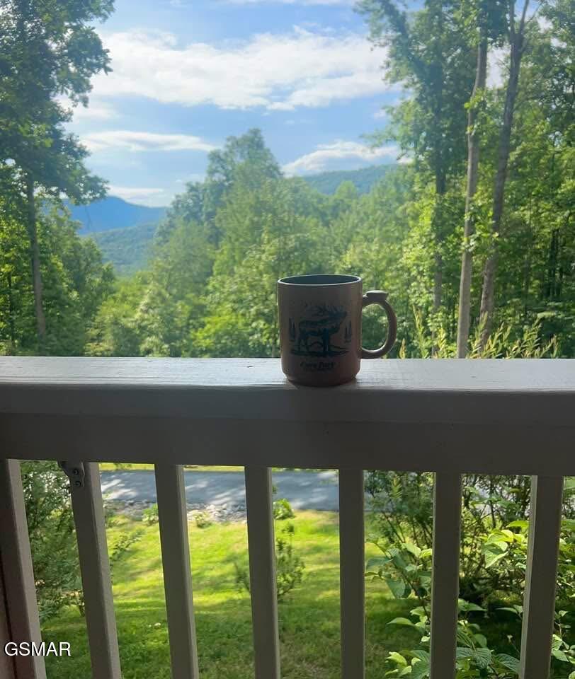 1016 Country Mountain Road Cosby TN 37722