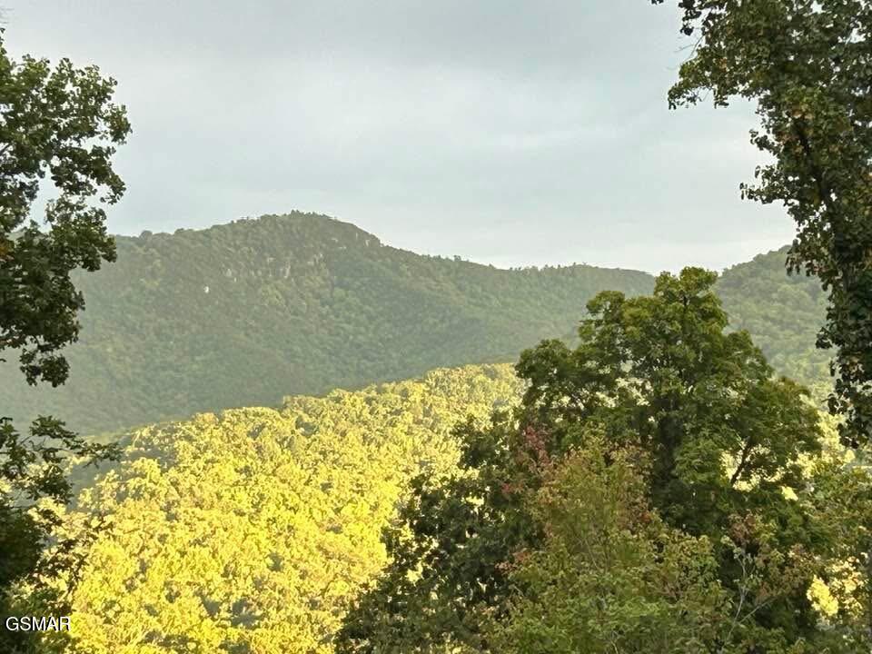 1016 Country Mountain Road Cosby TN 37722