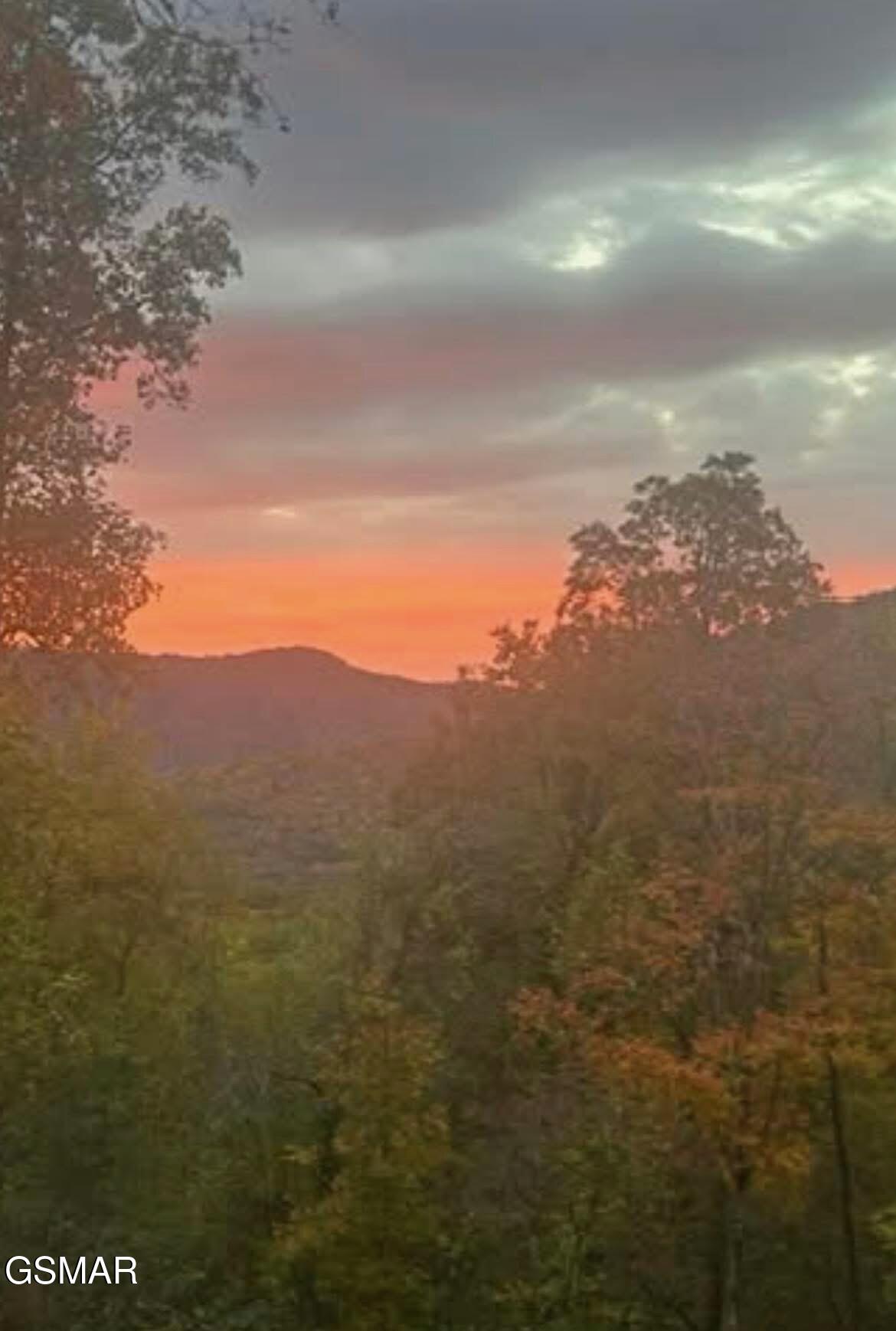 1016 Country Mountain Road Cosby TN 37722