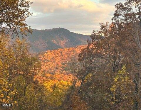 1016 Country Mountain Road Cosby TN 37722