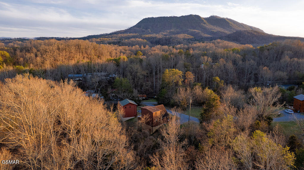 1220 Sugar Loaf Road Sevierville TN 37876