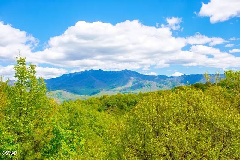 1109 Ski View Drive Gatlinburg TN 37738