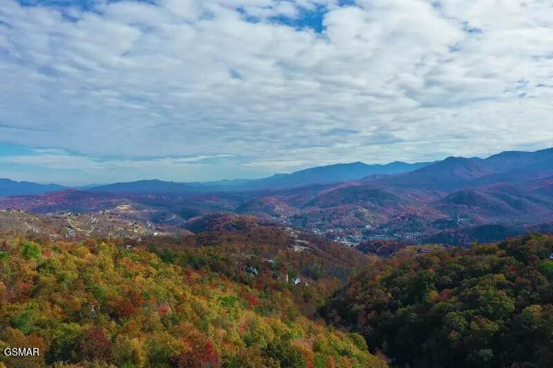 1109 Ski View Drive Gatlinburg TN 37738