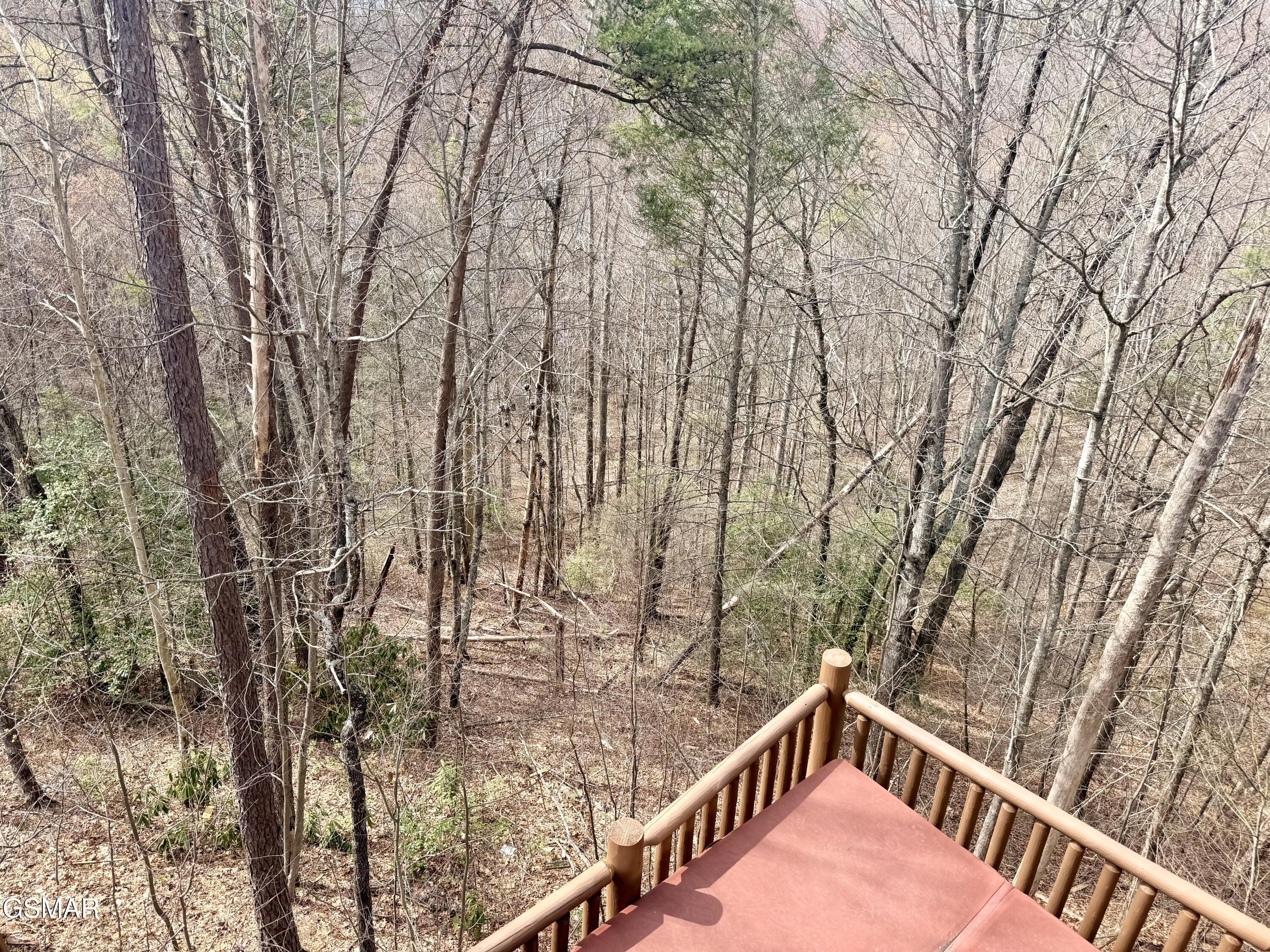 1724 Azalea Circle Sevierville TN 37876