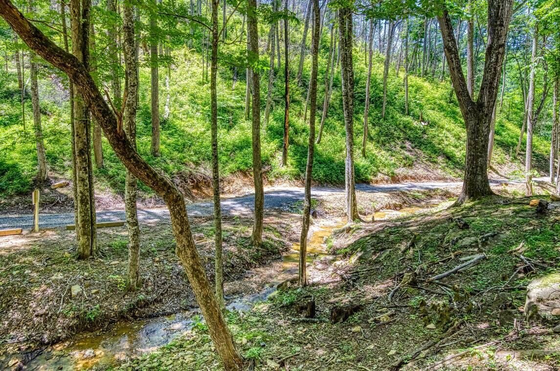 2440 Paradise Falls Way Sevierville TN 37862
