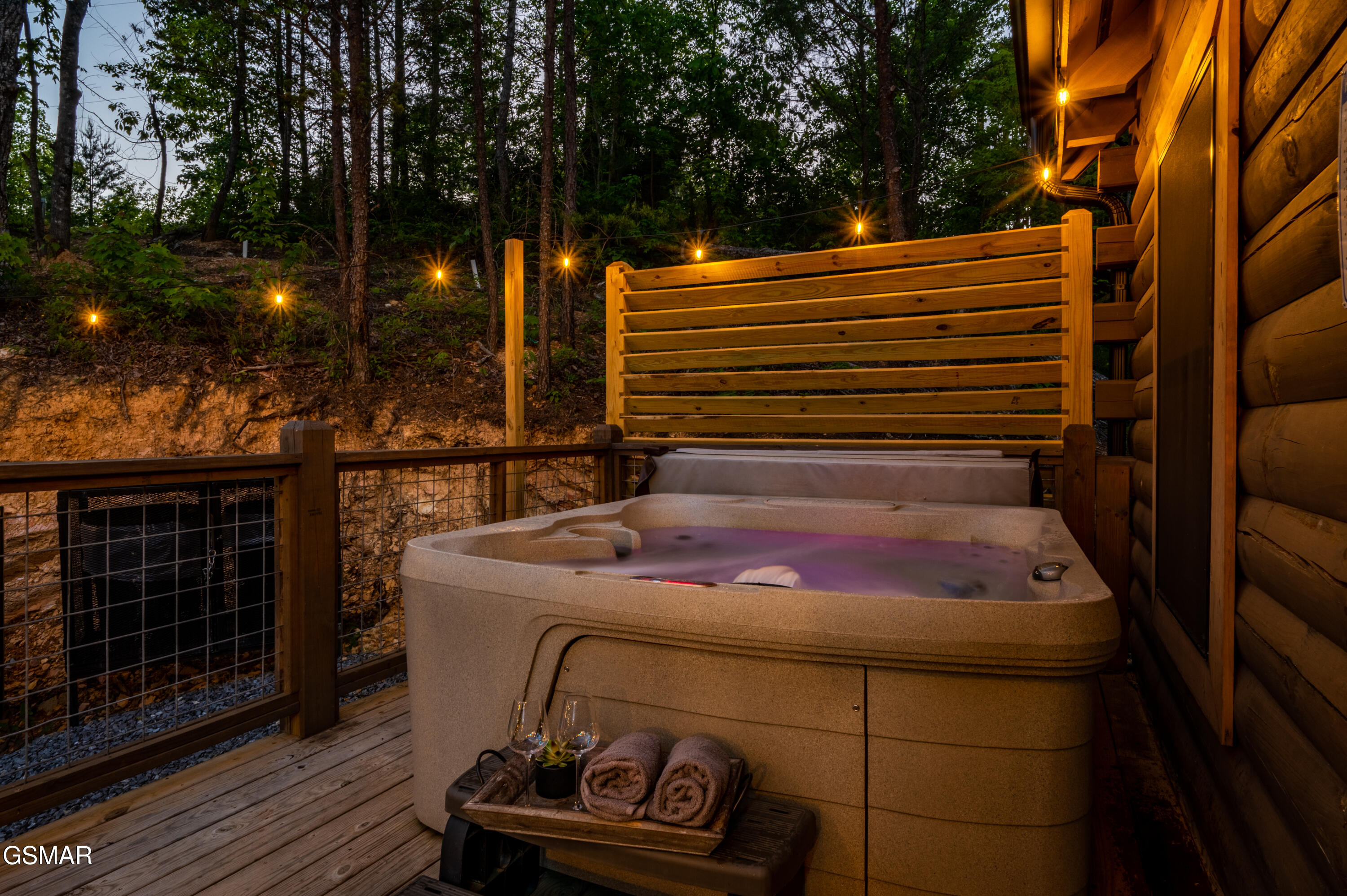 1606 Dove Wing Way Sevierville TN 37862