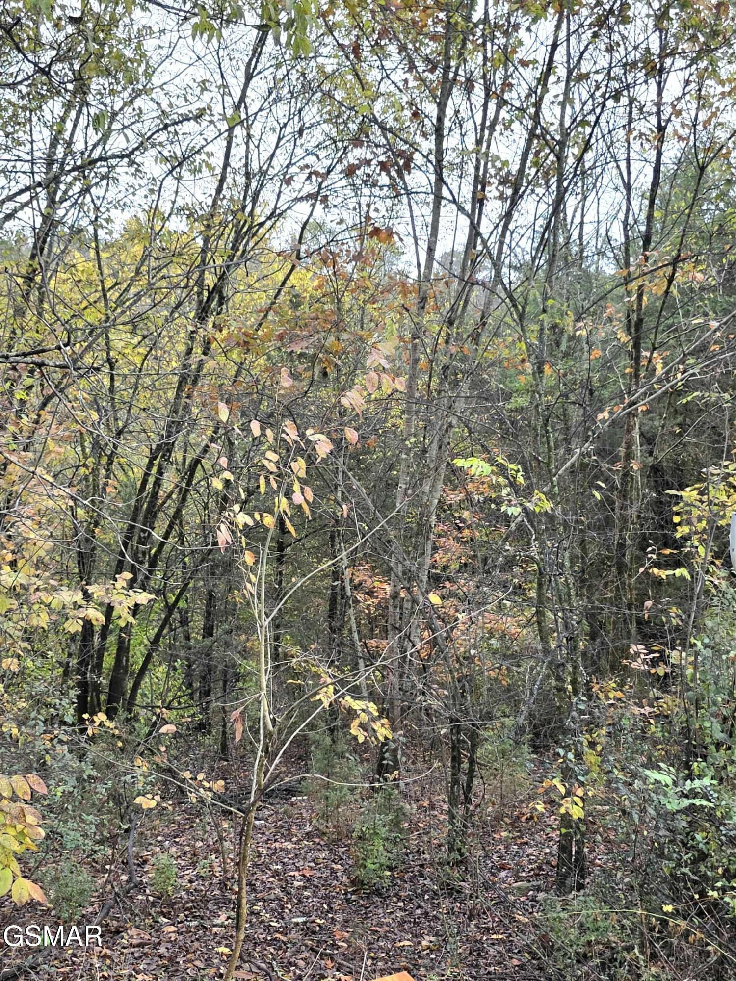 1539 Creek Side Drive Sevierville TN 37876