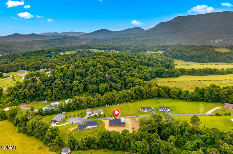 249 Buttercup Fields Newport TN 37821