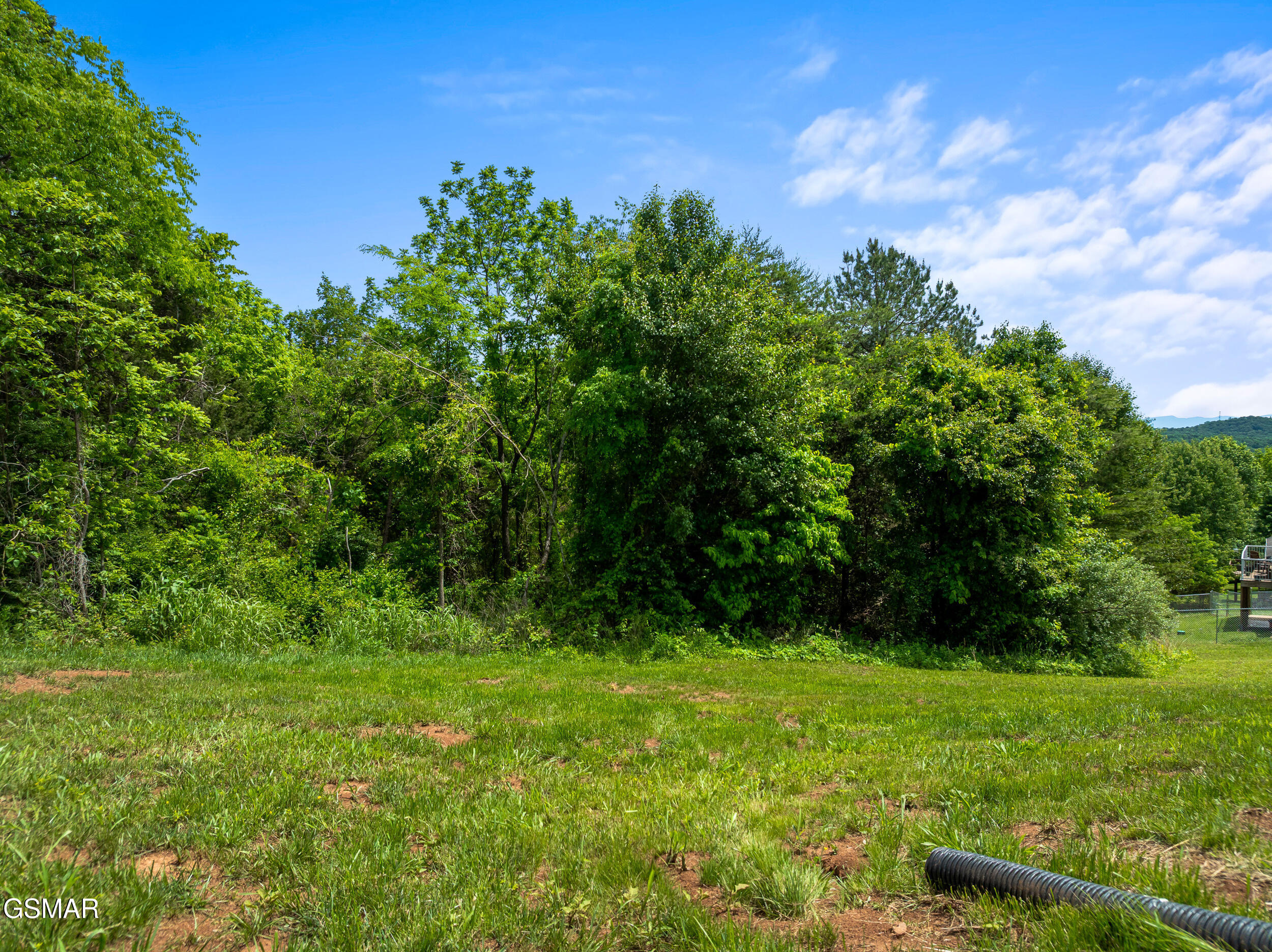 3886 Settlers Trail Kodak TN 37764