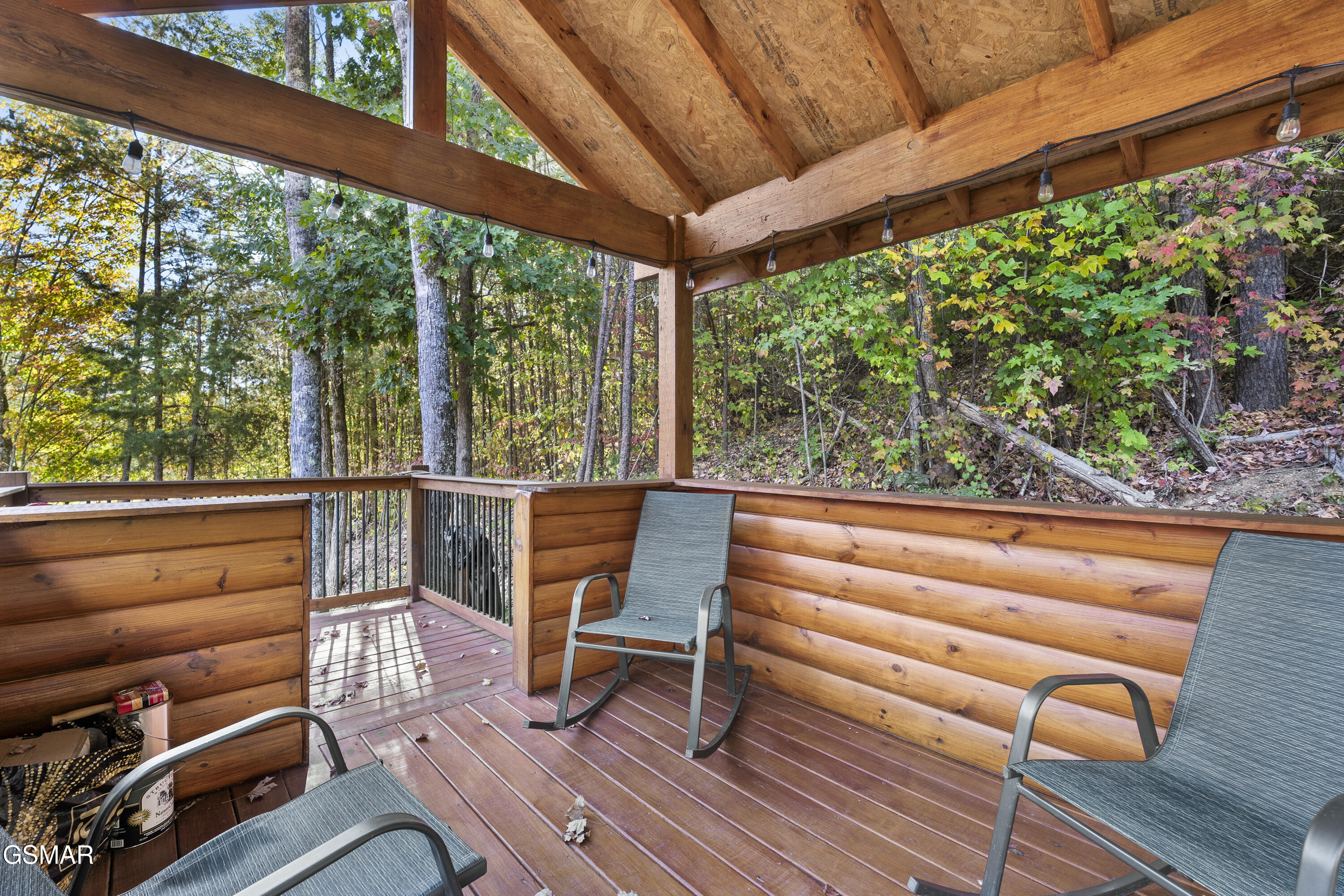 1443 Yellowwood Drive Sevierville TN 37876