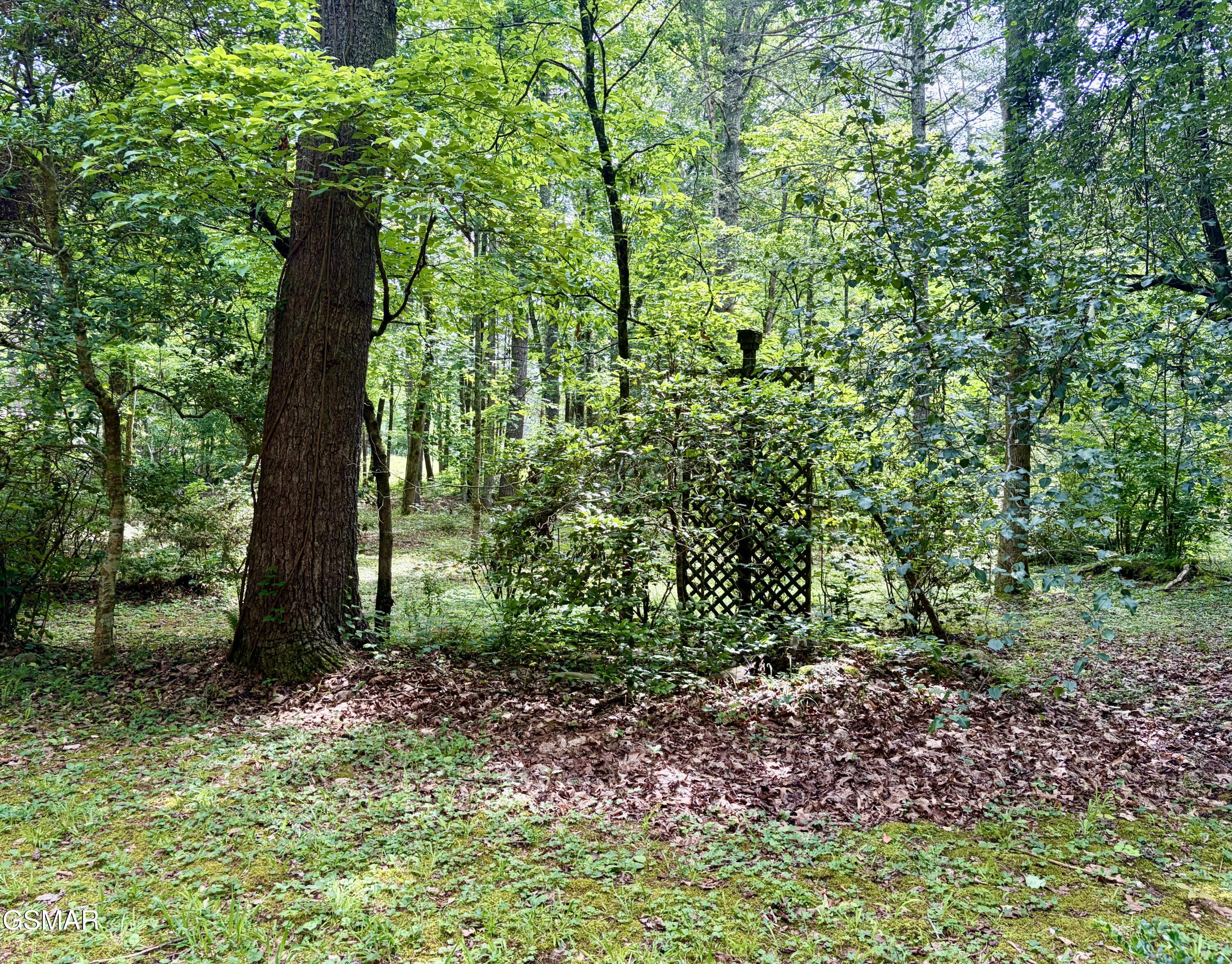 2876 Mcmahan Sawmill Road Sevierville TN 37862