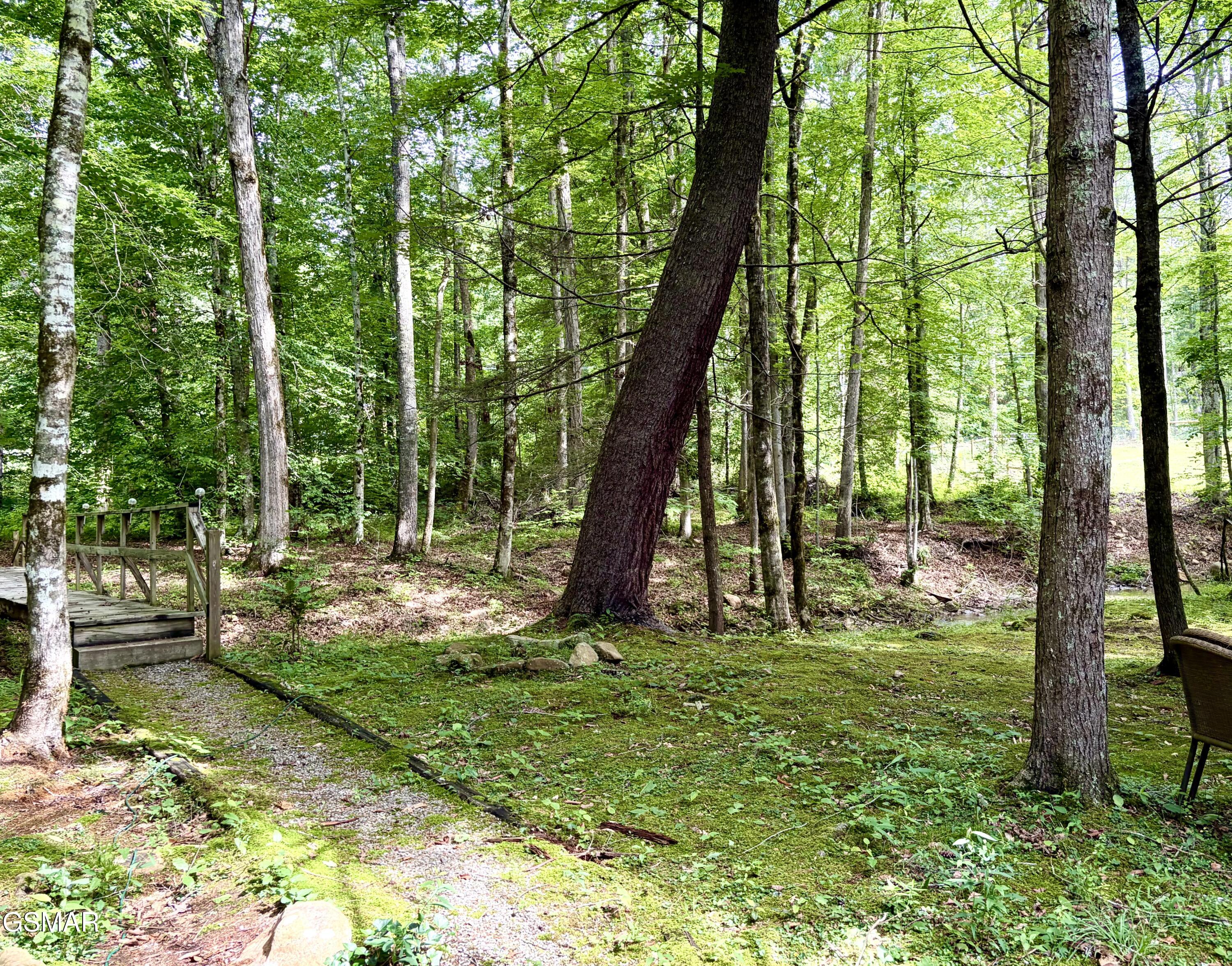 2876 Mcmahan Sawmill Road Sevierville TN 37862