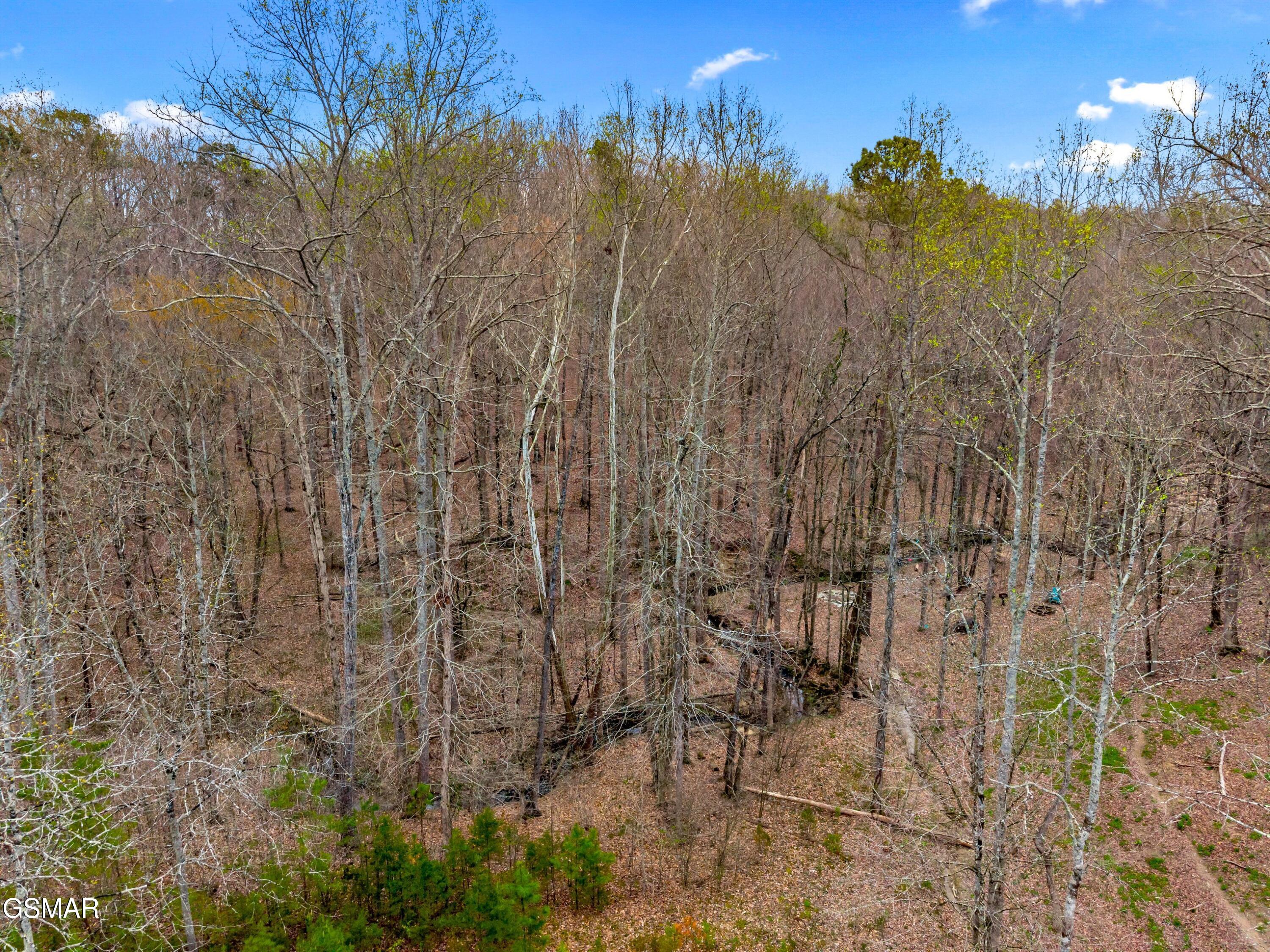 532 Turtle Dove Trail Dandridge TN 37725