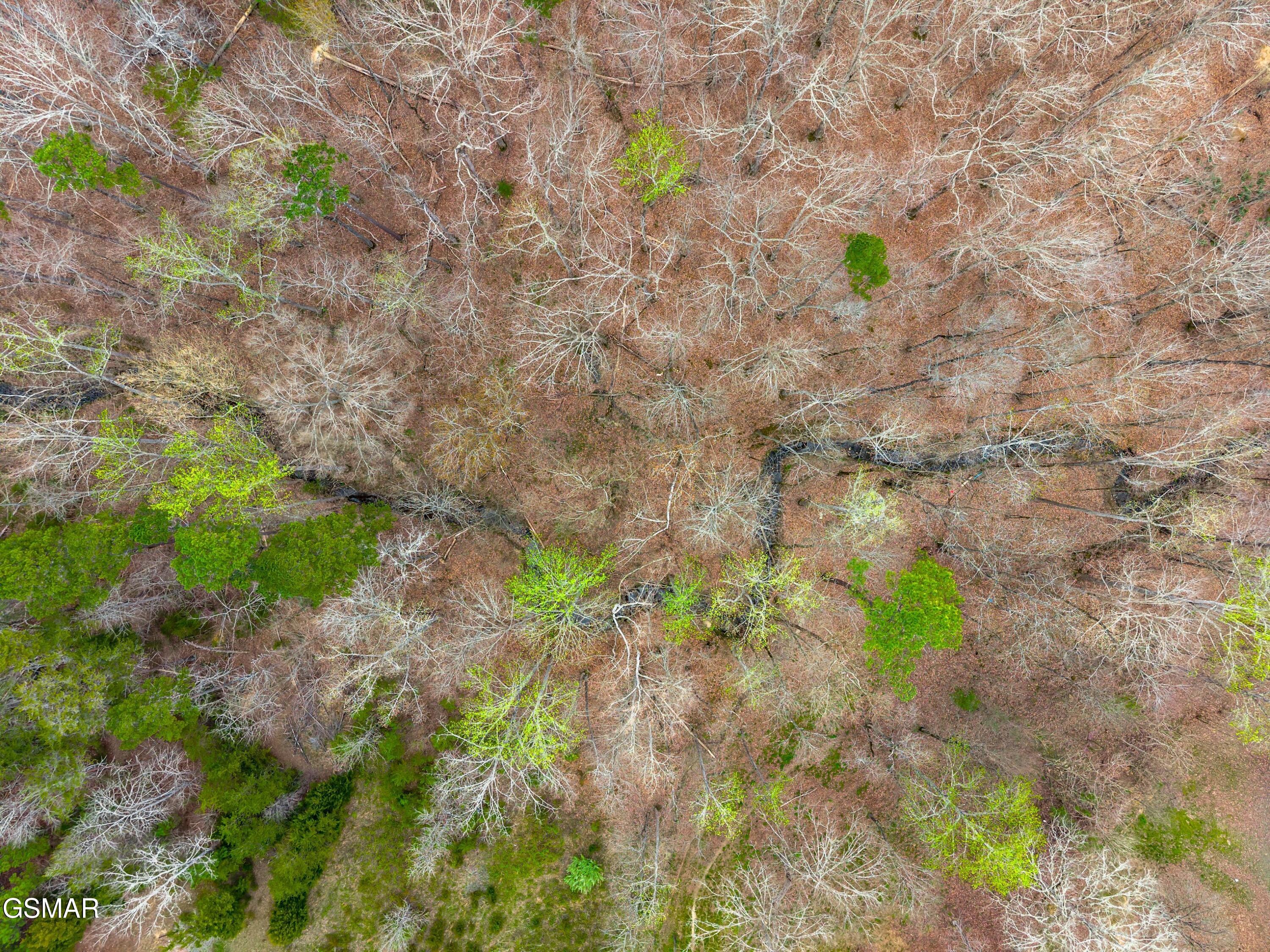 532 Turtle Dove Trail Dandridge TN 37725