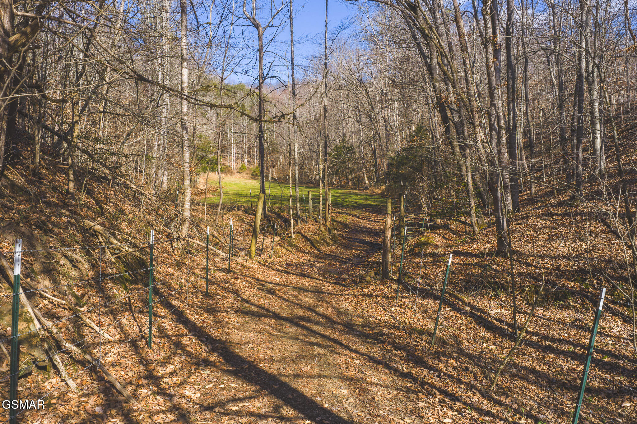 3381 Upper Caney Valley Road Tazewell TN 37879